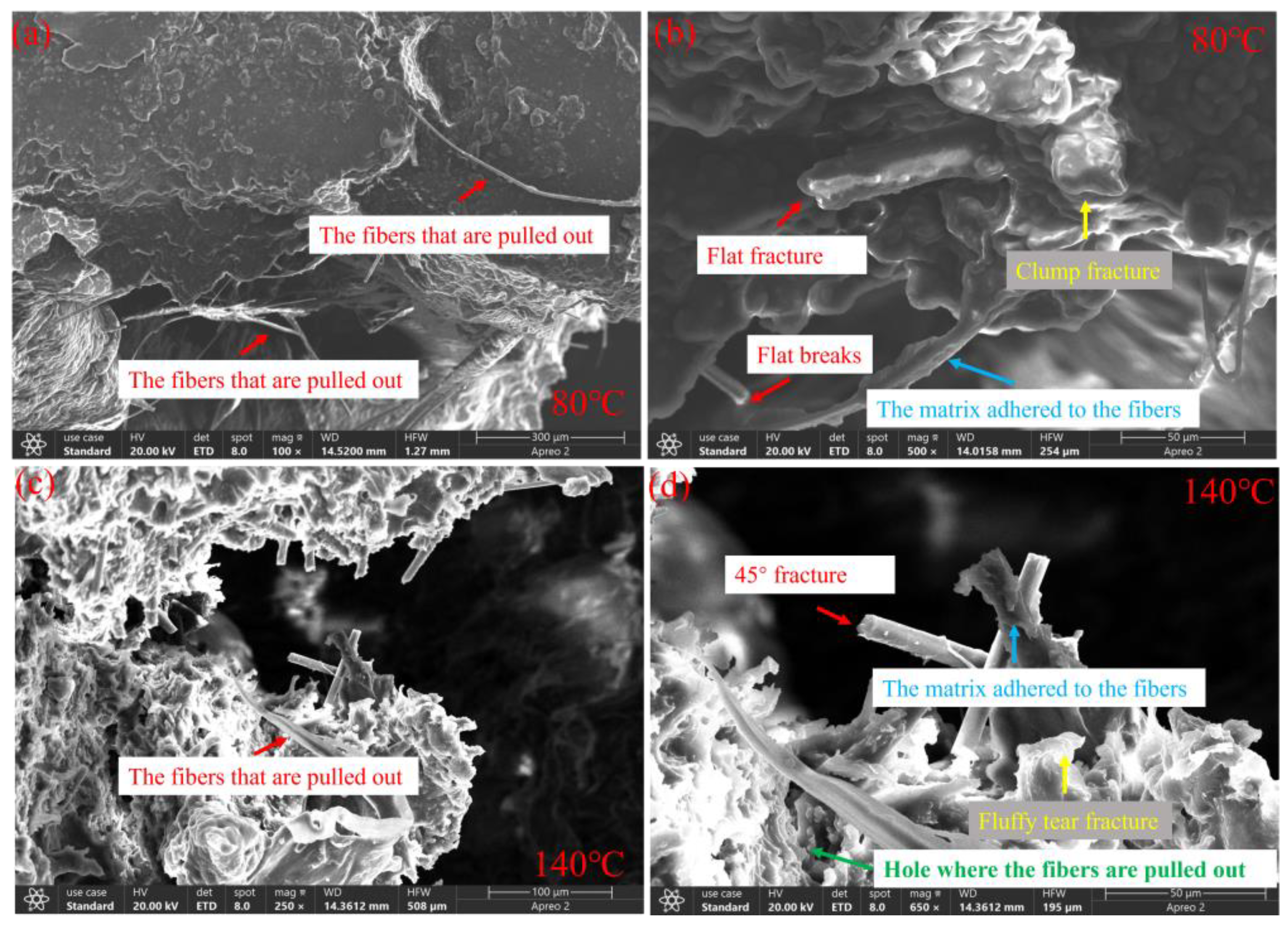 Polymers 16 02295 g010