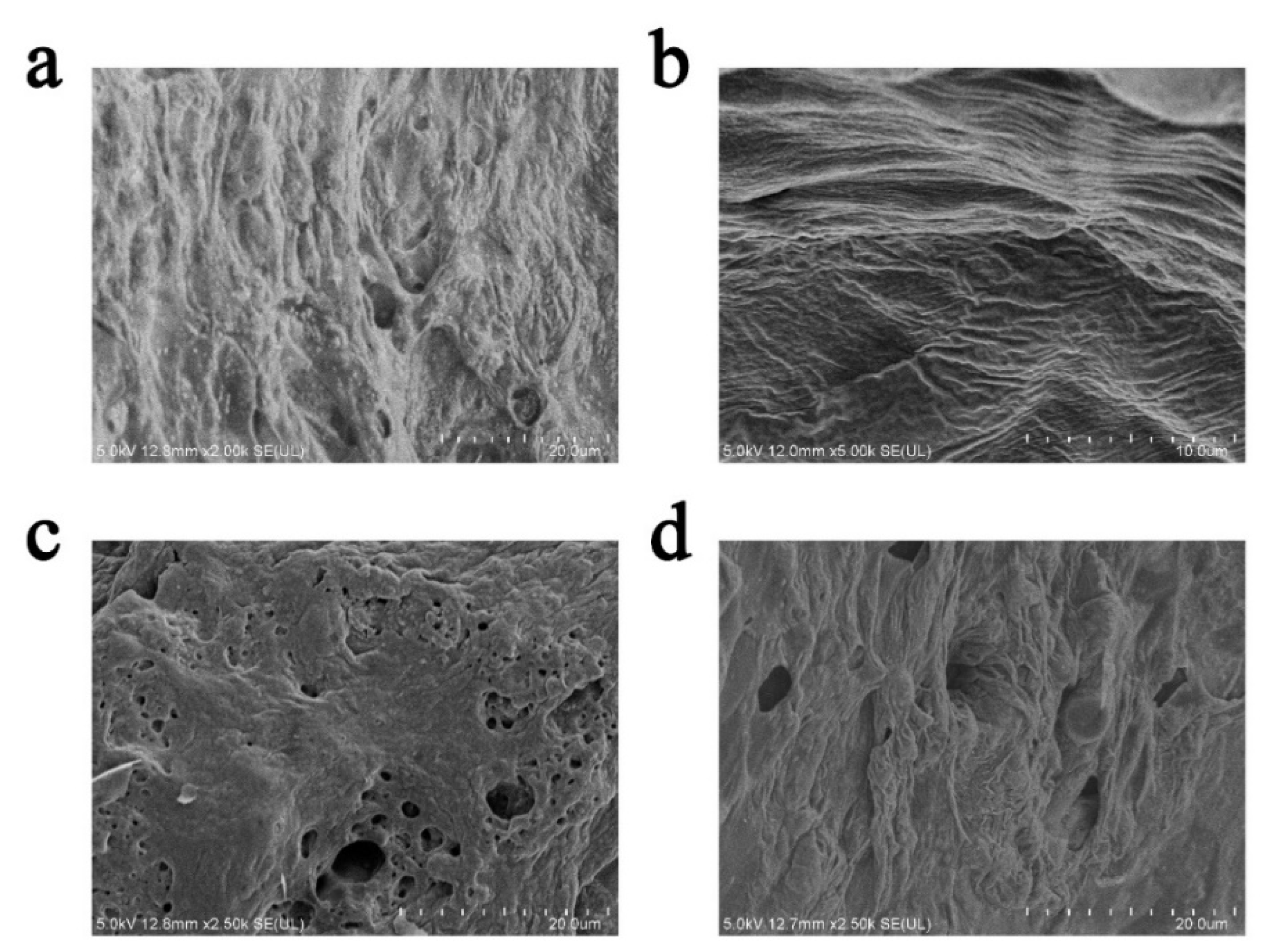Polymers 16 02302 g004