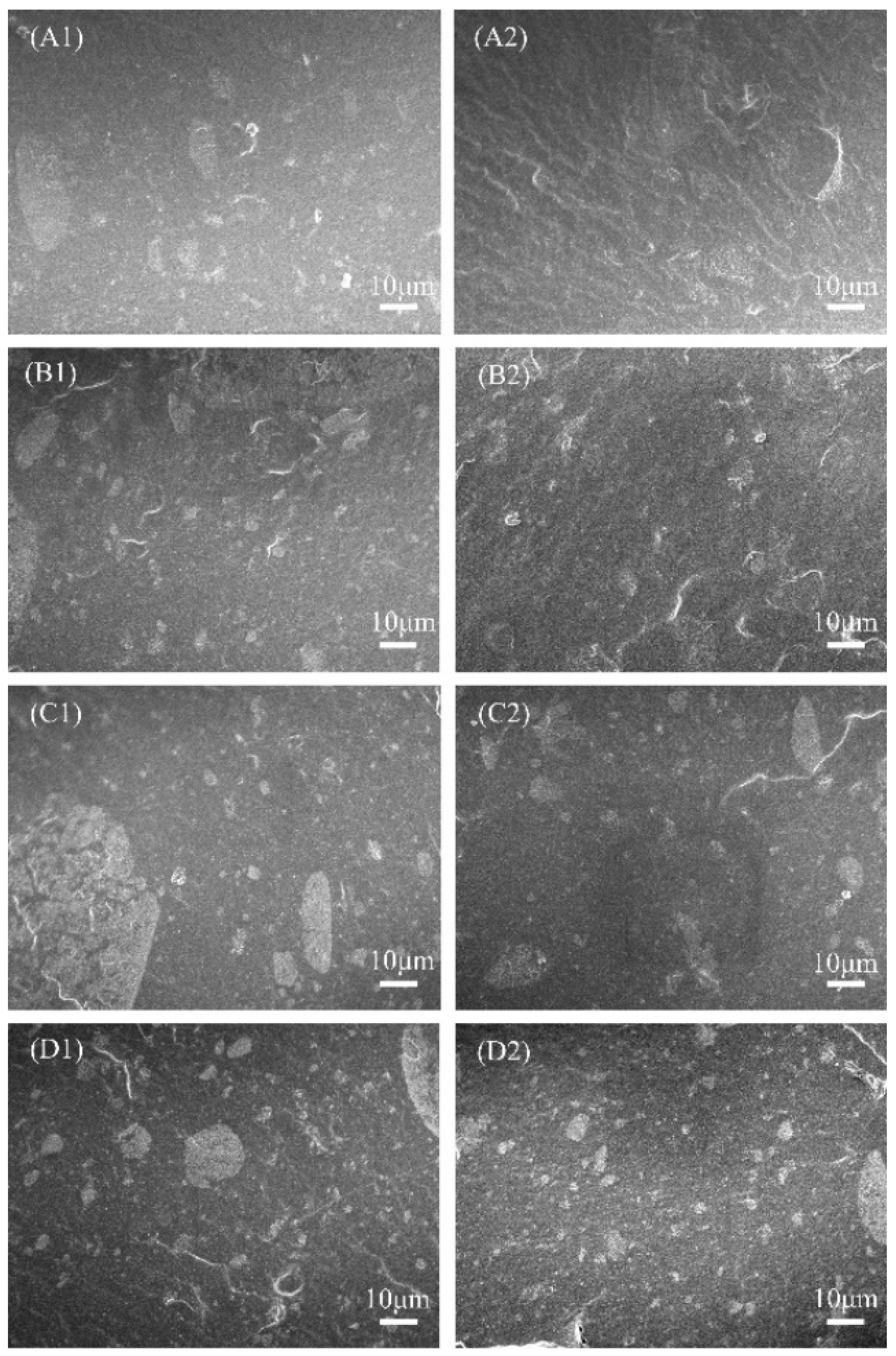 Polymers 16 02304 g012