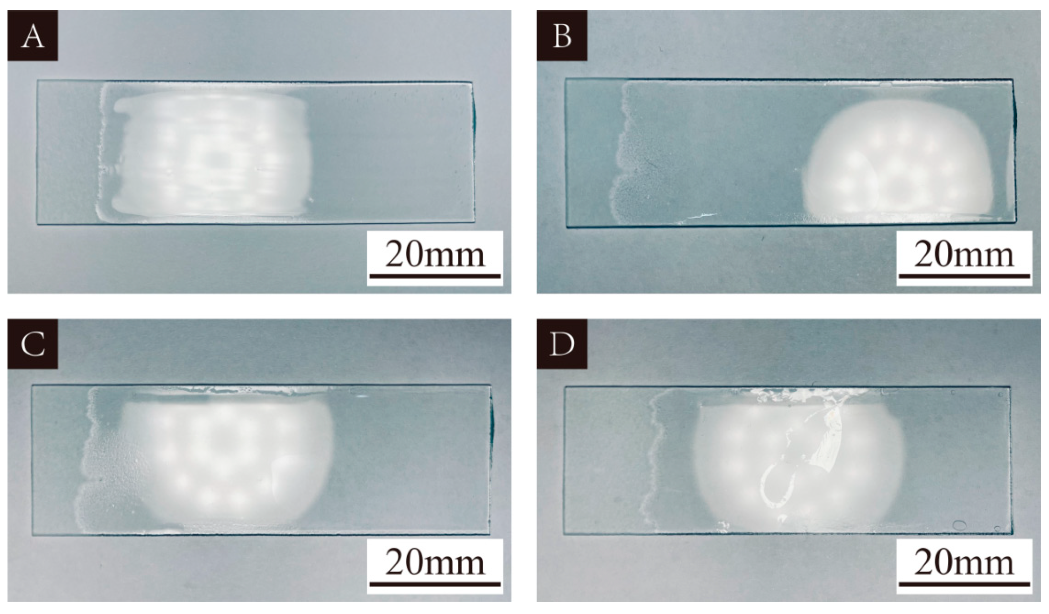 Polymers 16 02308 g001