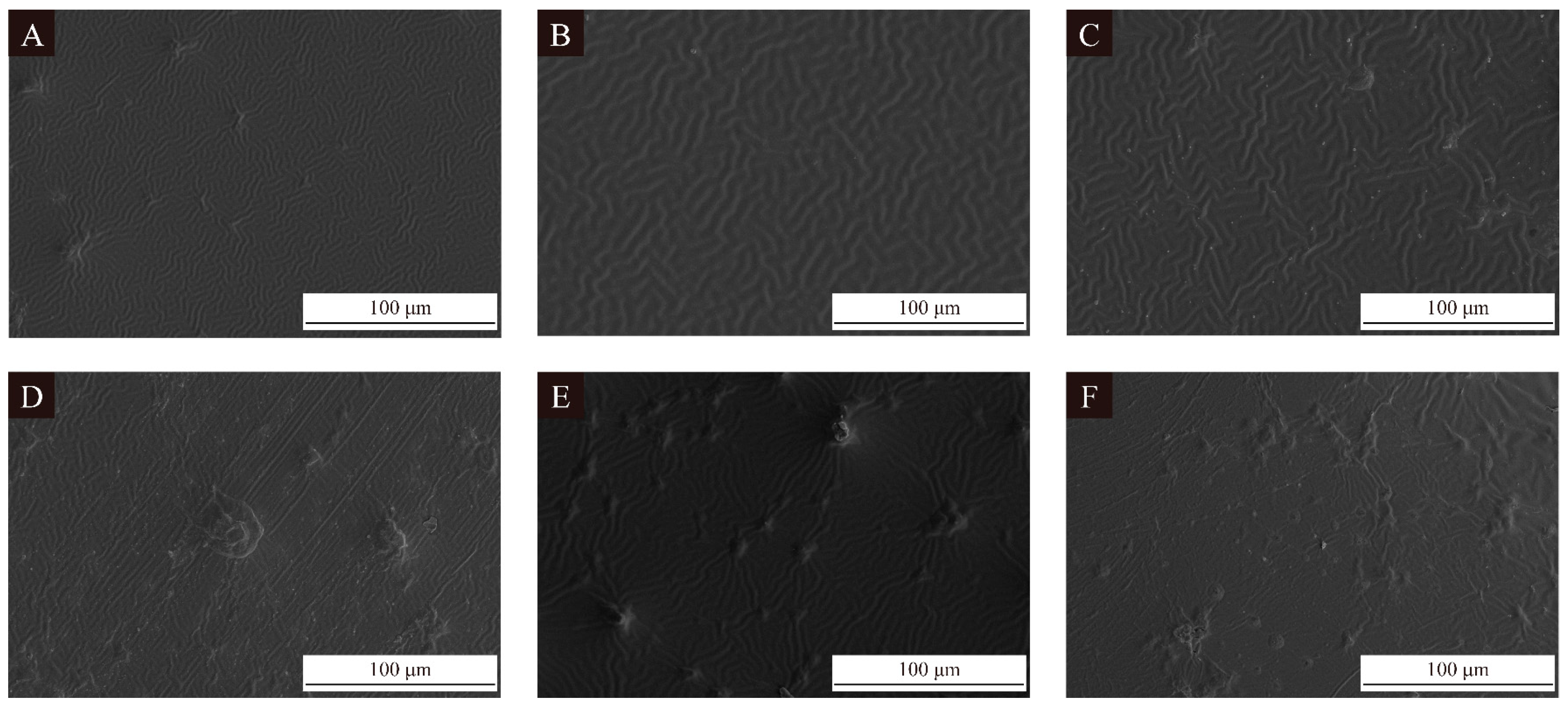 Polymers 16 02308 g008