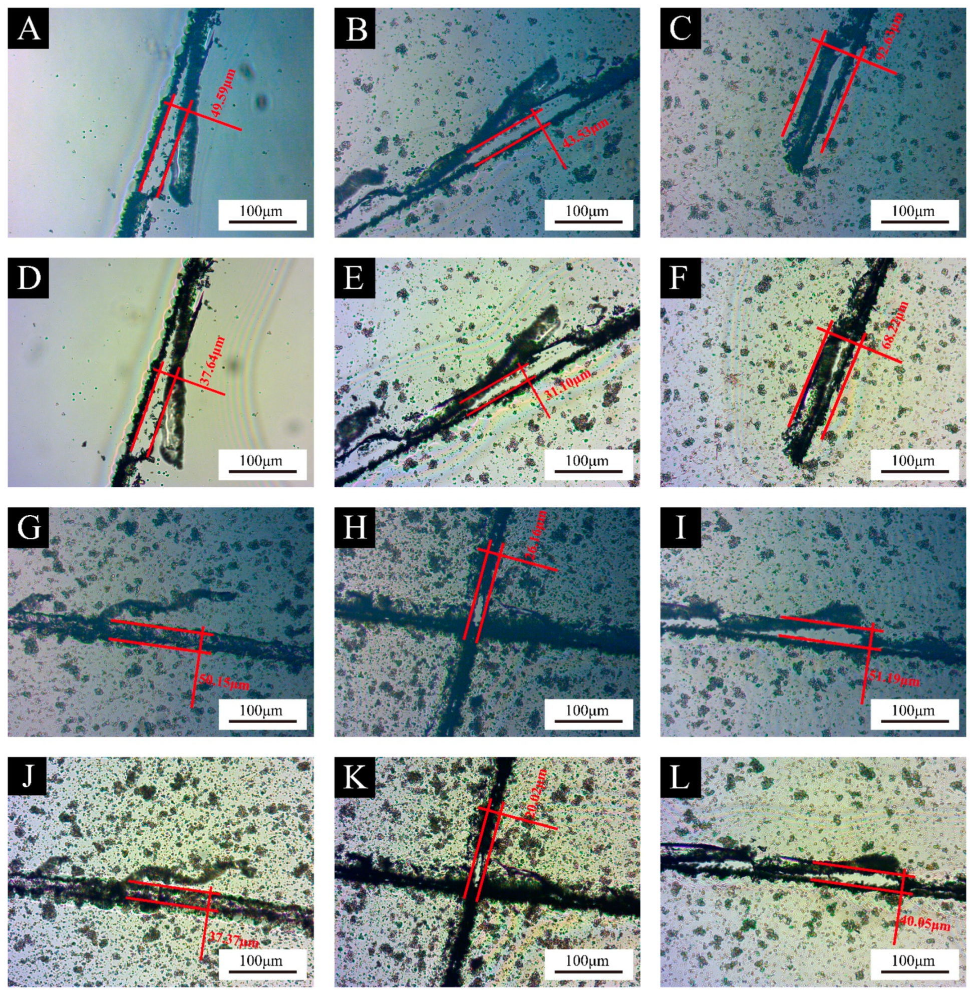 Polymers 16 02308 g011