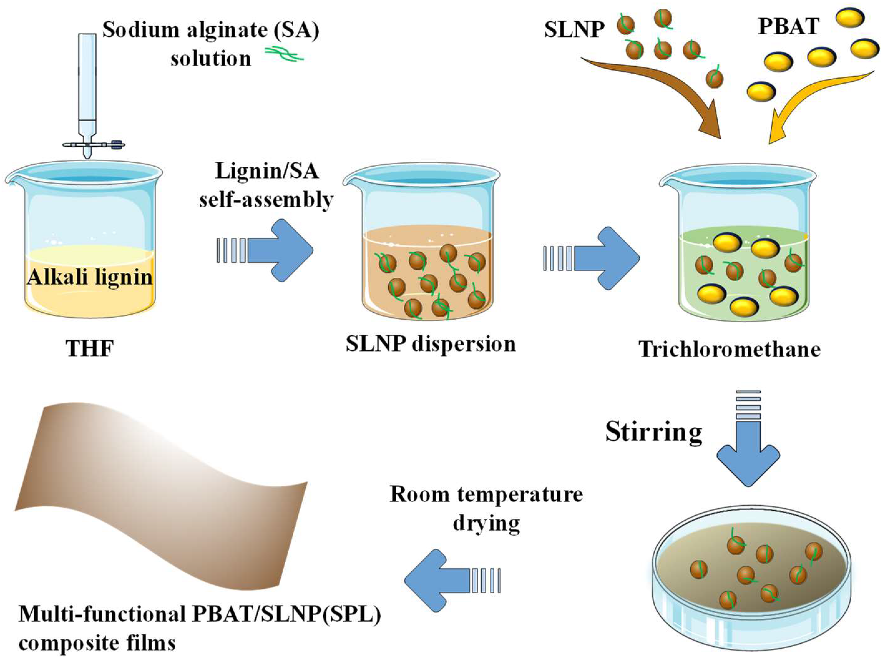 Polymers 16 02312 g001