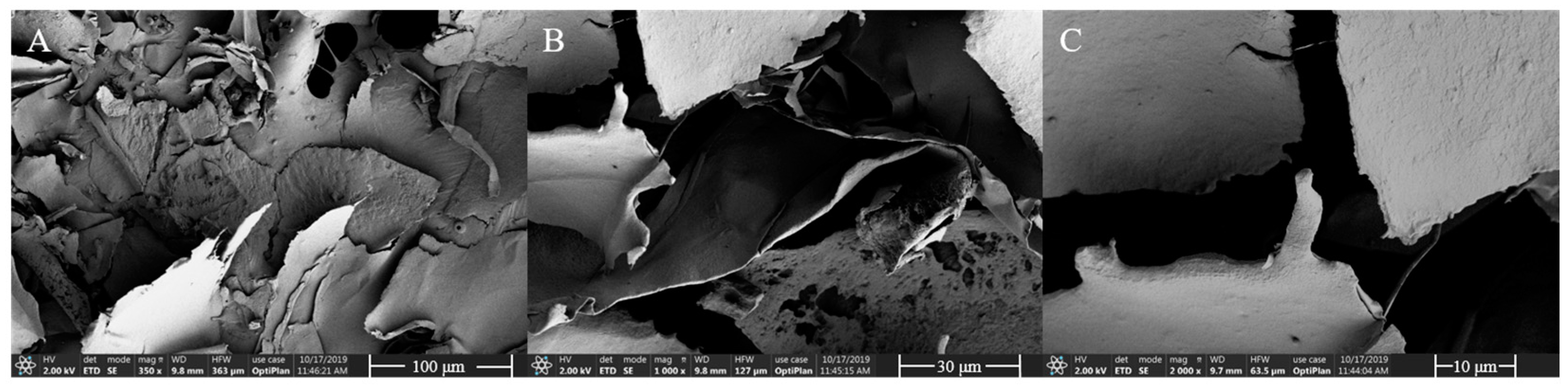 Polymers 16 02314 g006 Polymers 16 02314 g006