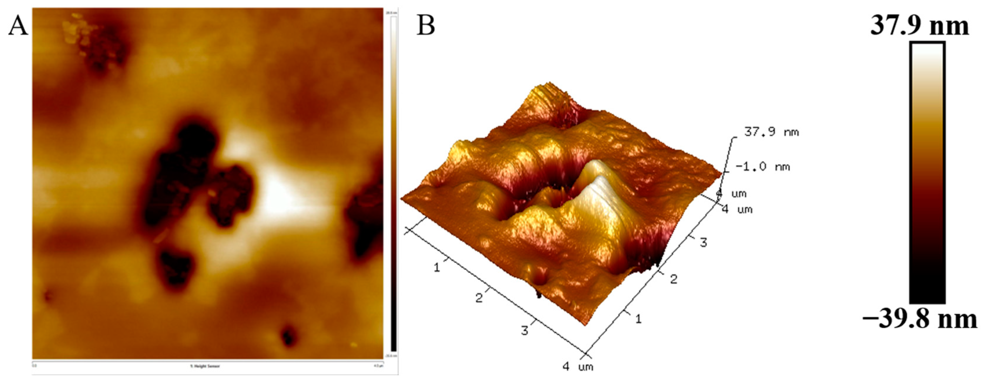 Polymers 16 02314 g007 Polymers 16 02314 g007