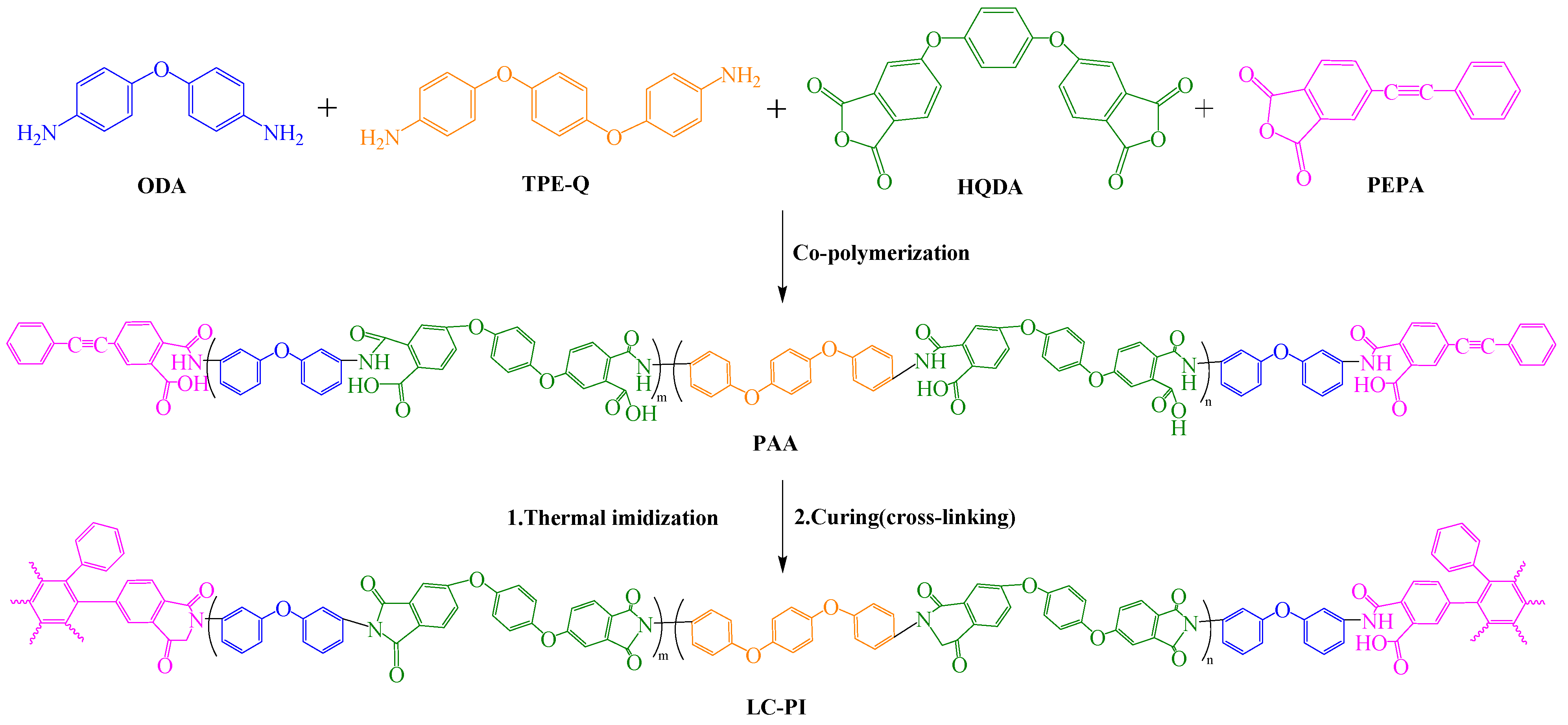 Polymers 16 02315 g015