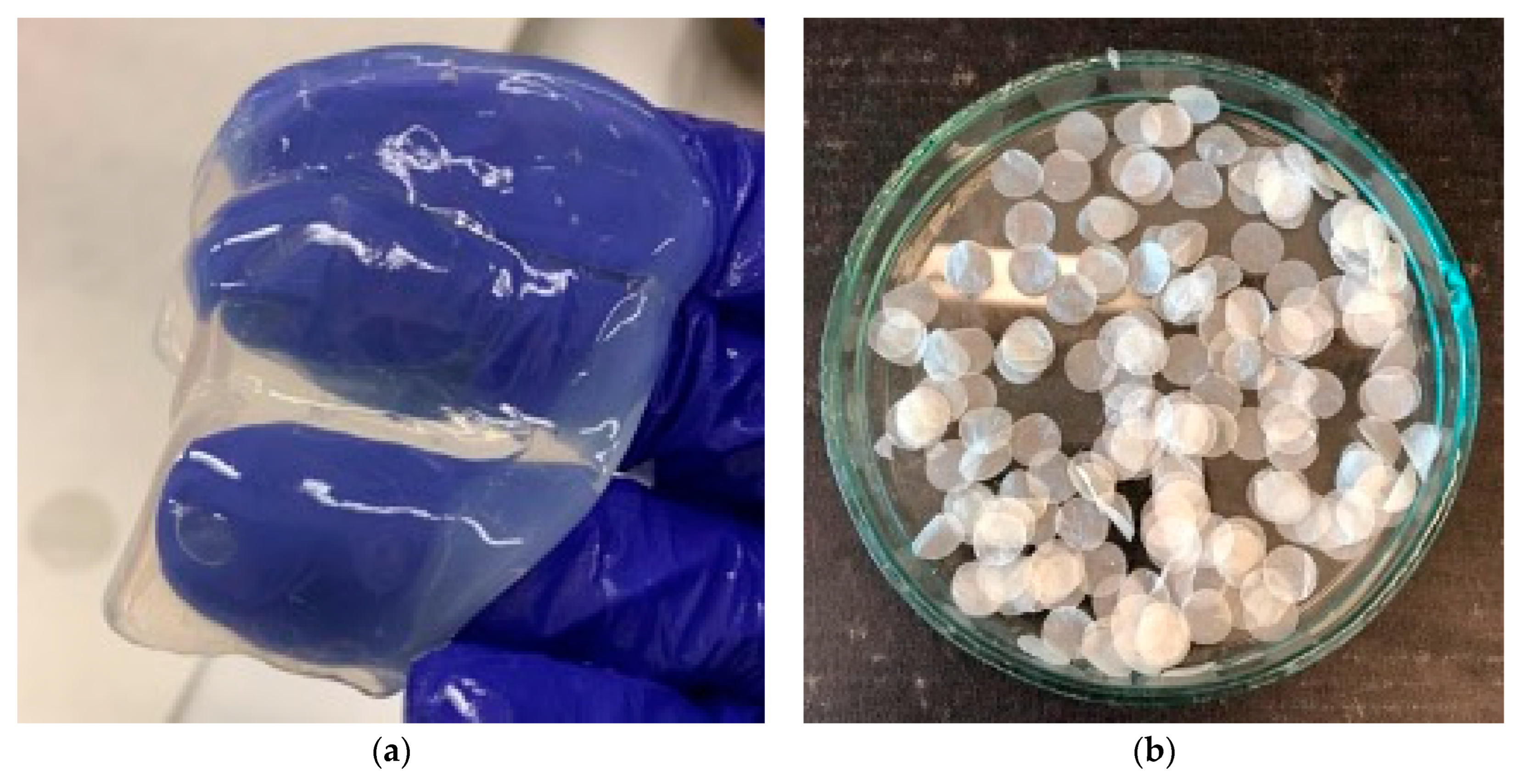 Polymers 16 02316 g001