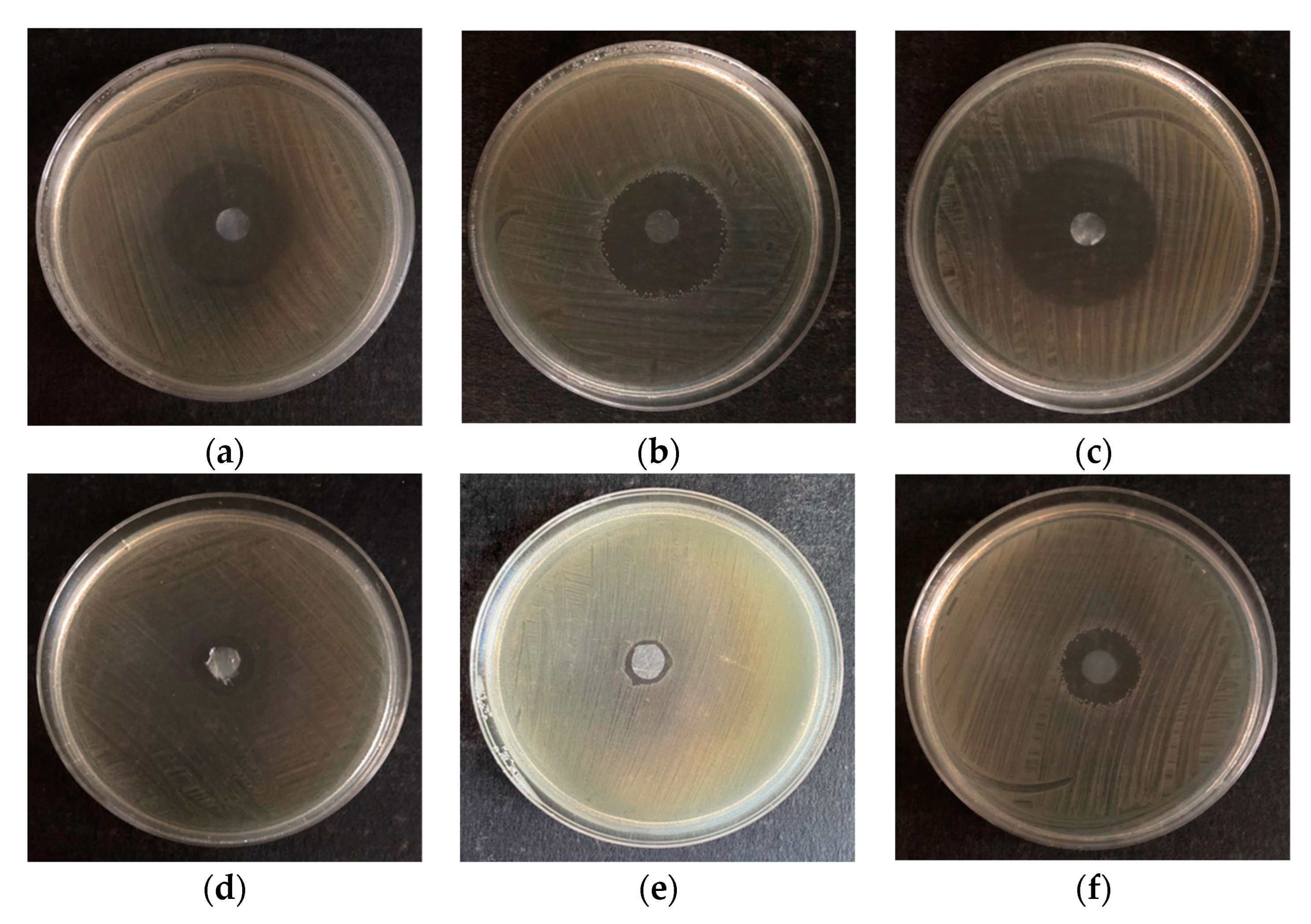 Polymers 16 02316 g003
