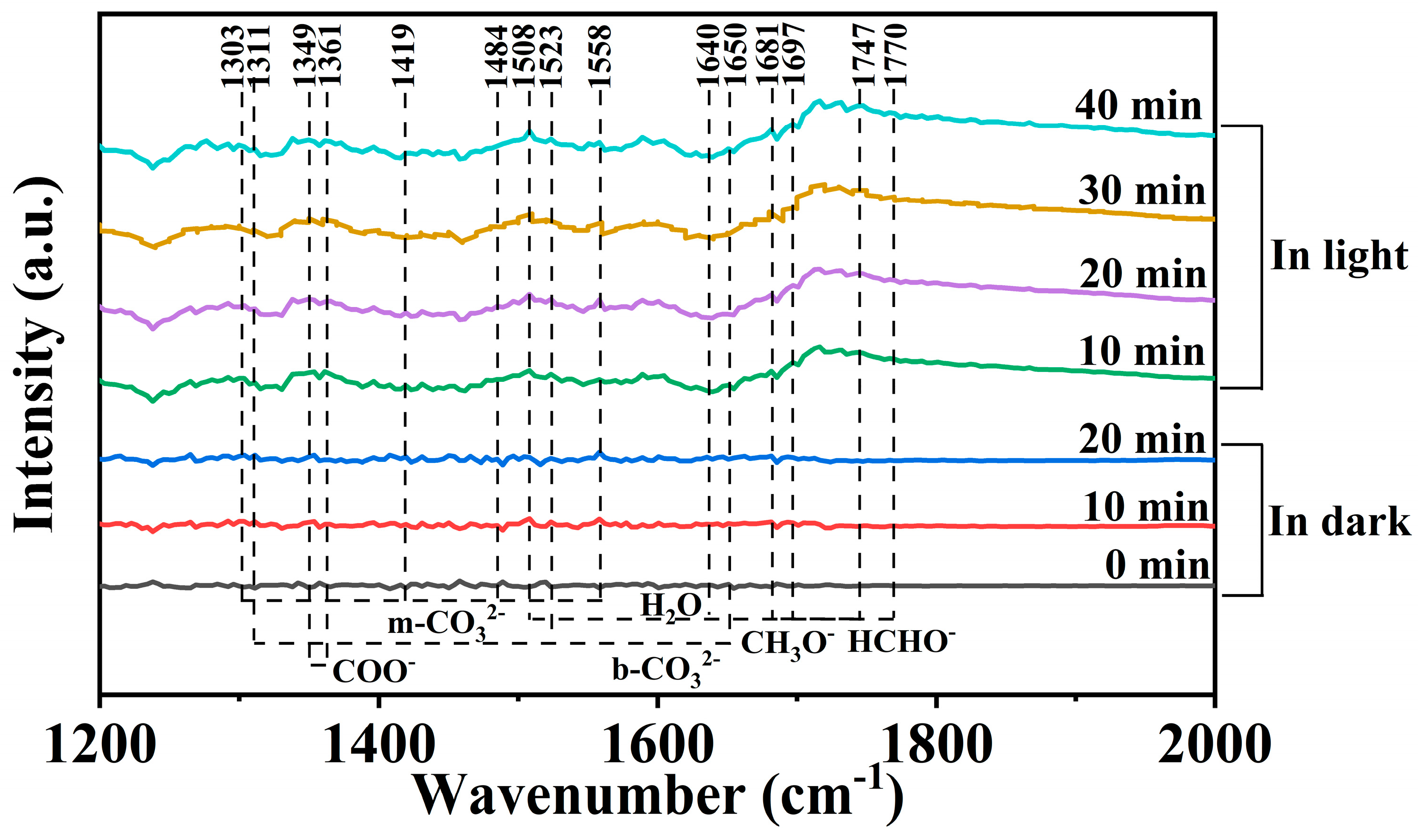 Polymers 16 02317 g006