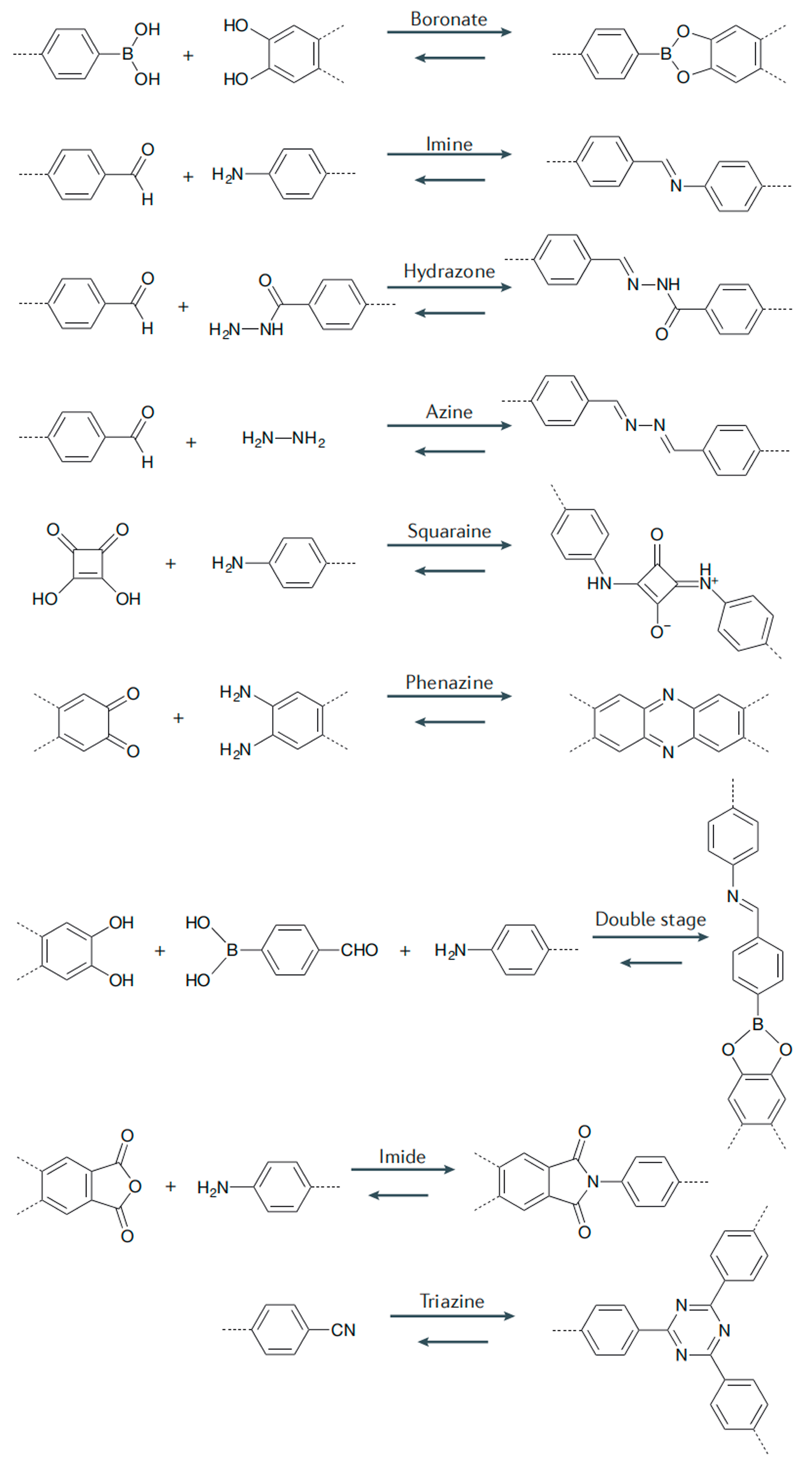 Polymers 16 02319 g003