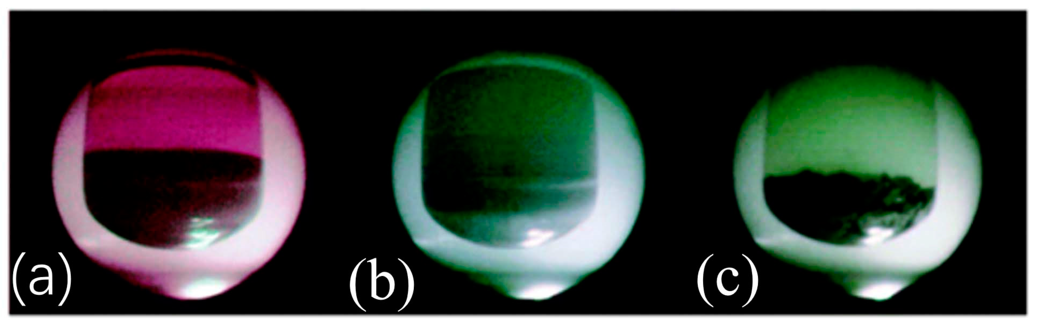 Polymers 16 02319 g006