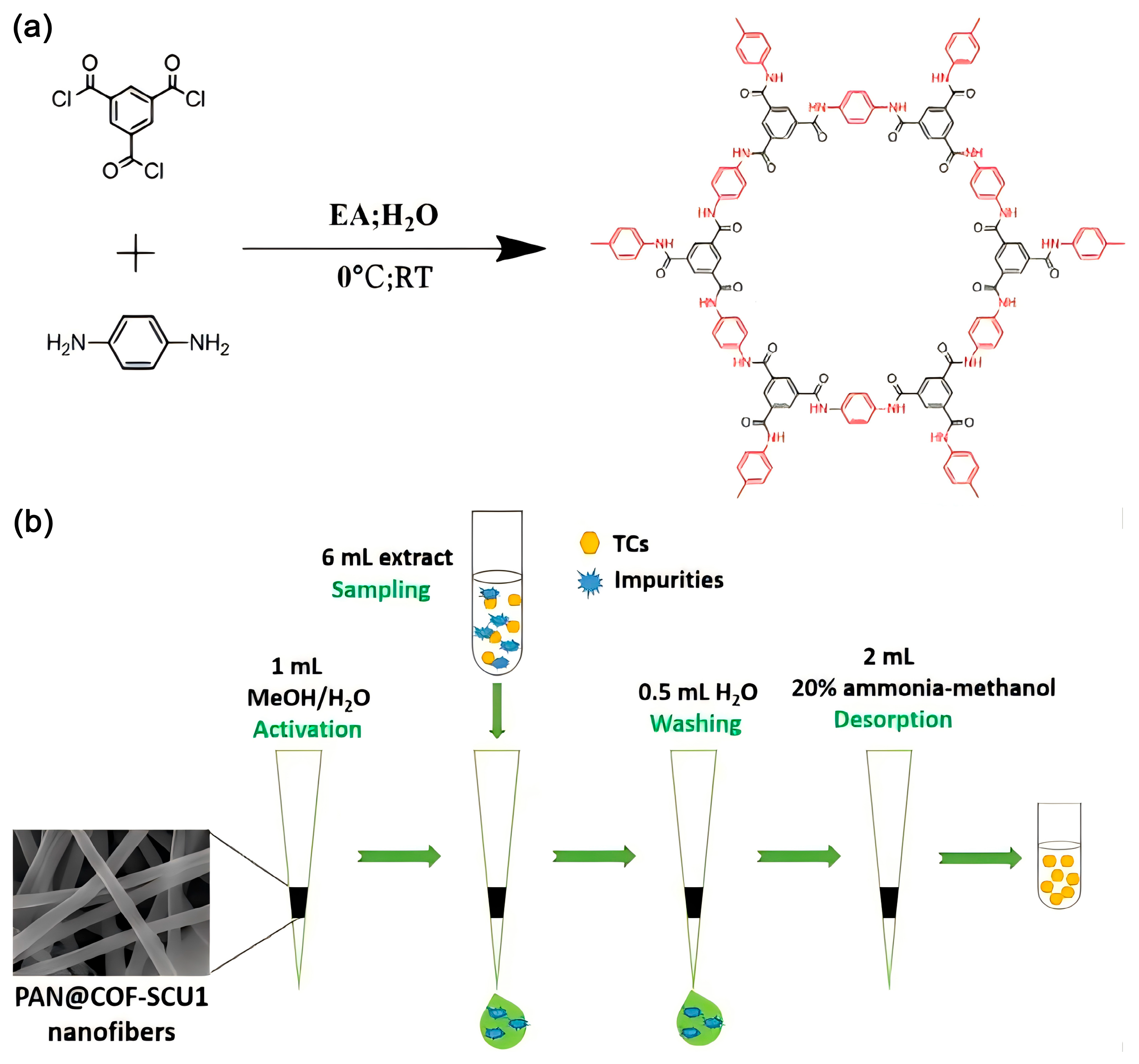 Polymers 16 02319 g010
