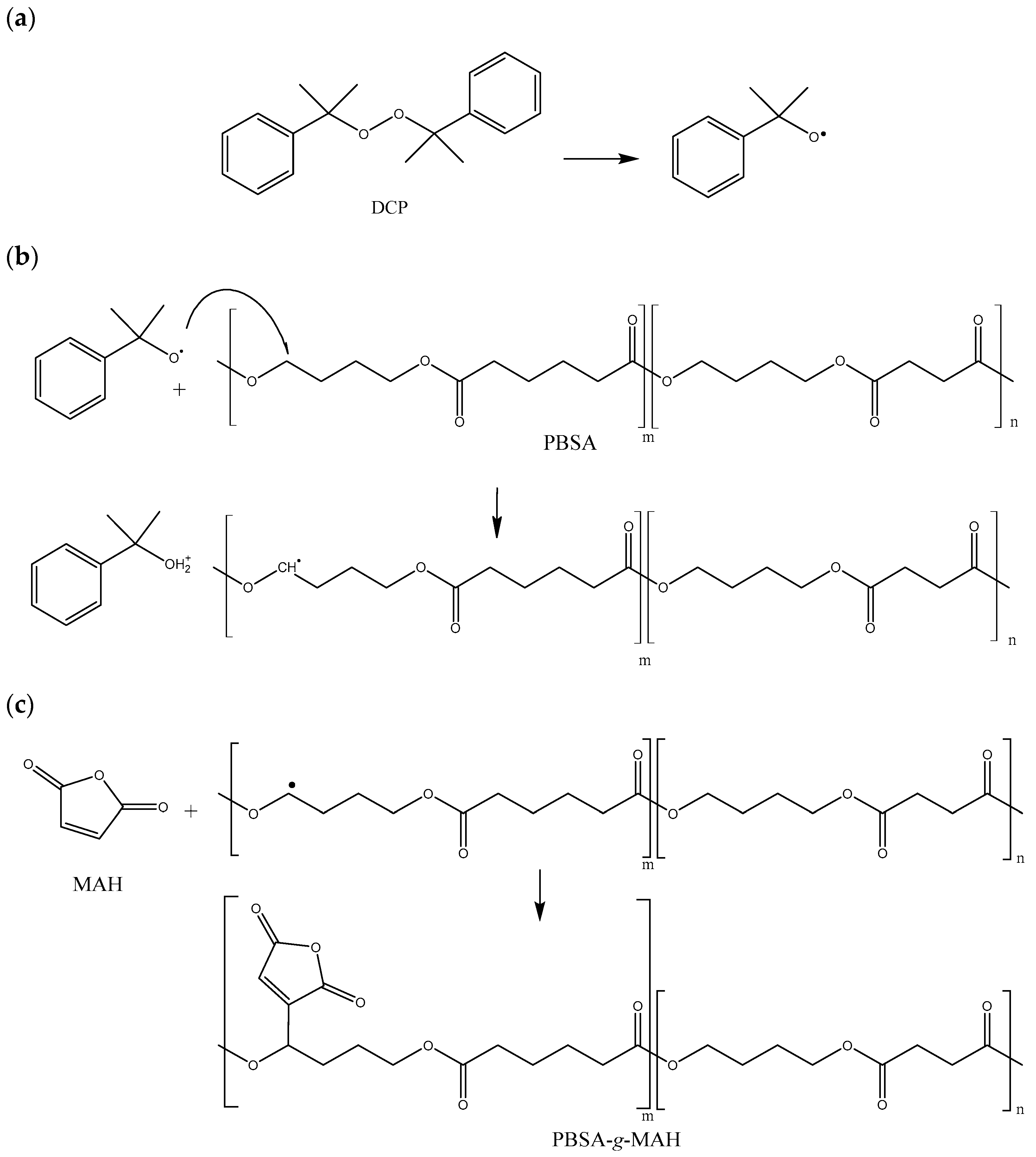 Polymers 16 02325 g001