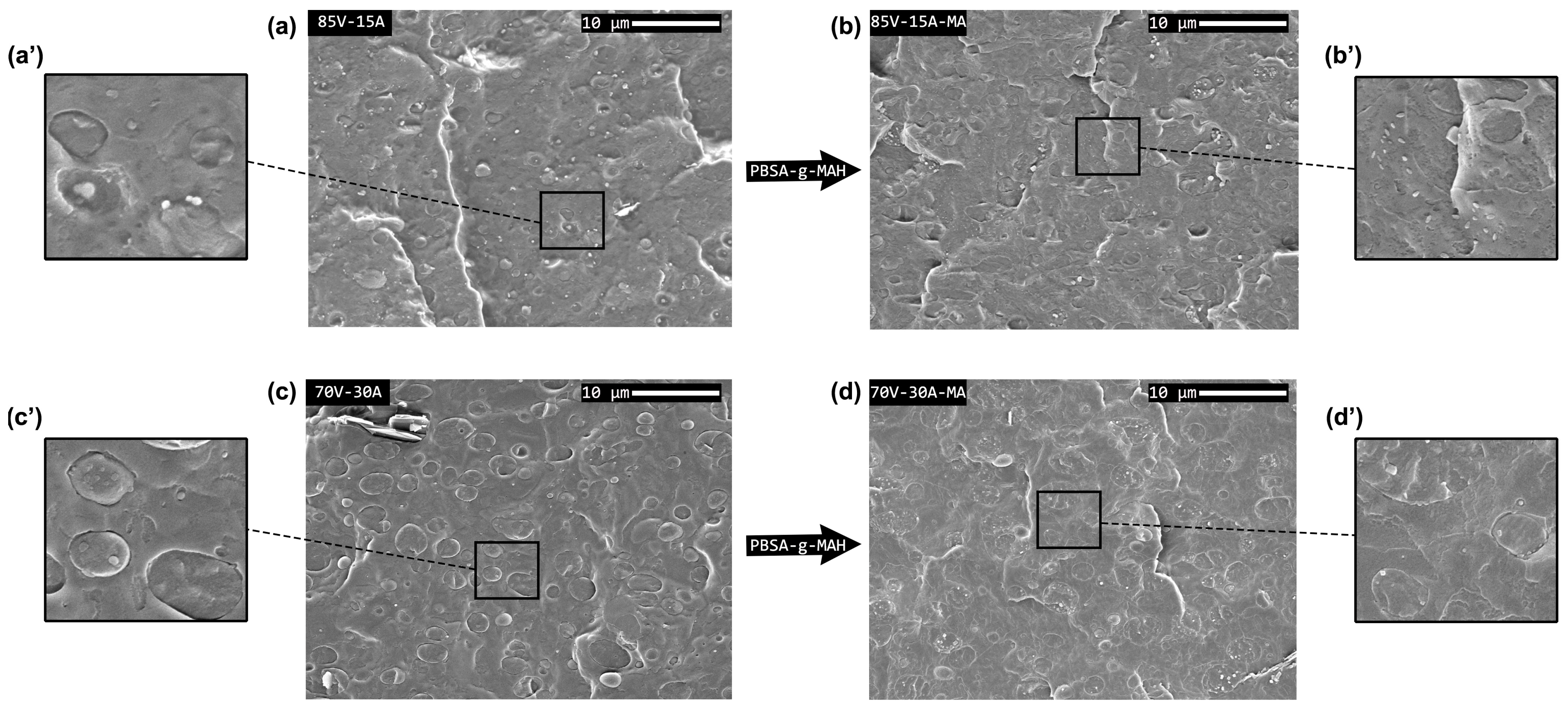 Polymers 16 02325 g002