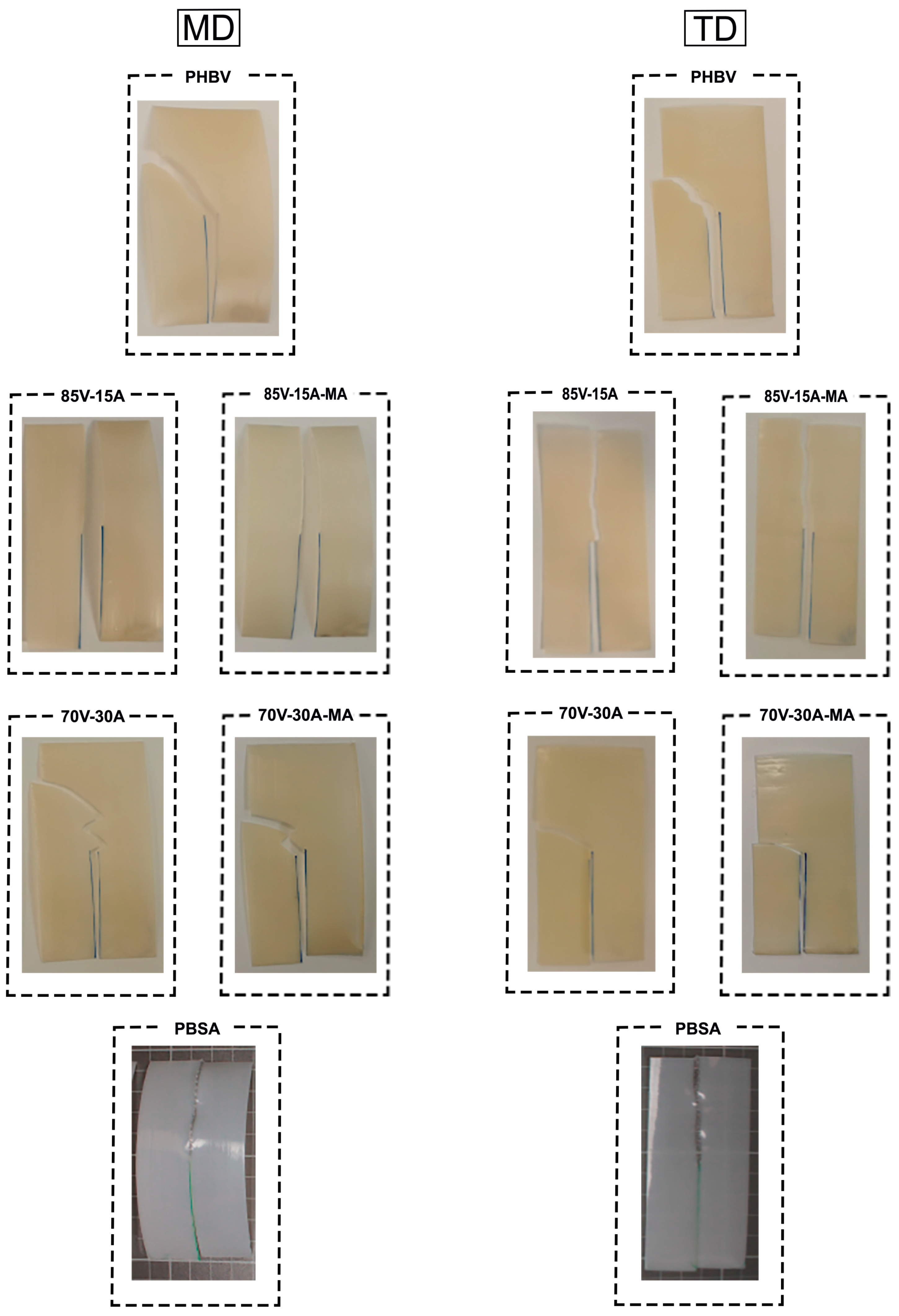 Polymers 16 02325 g008