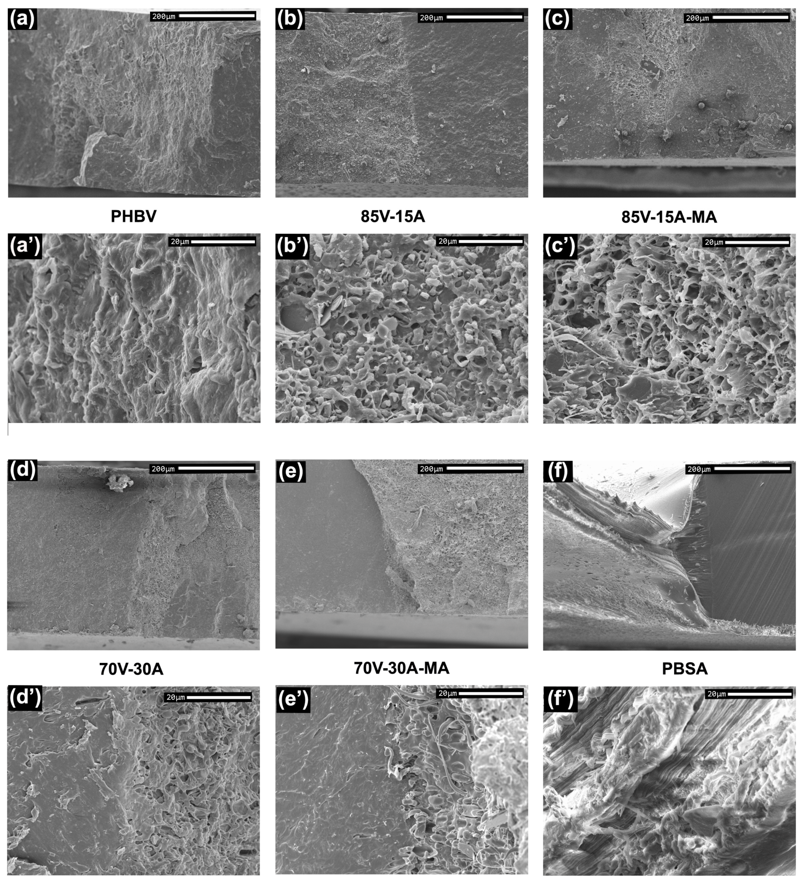 Polymers 16 02325 g009