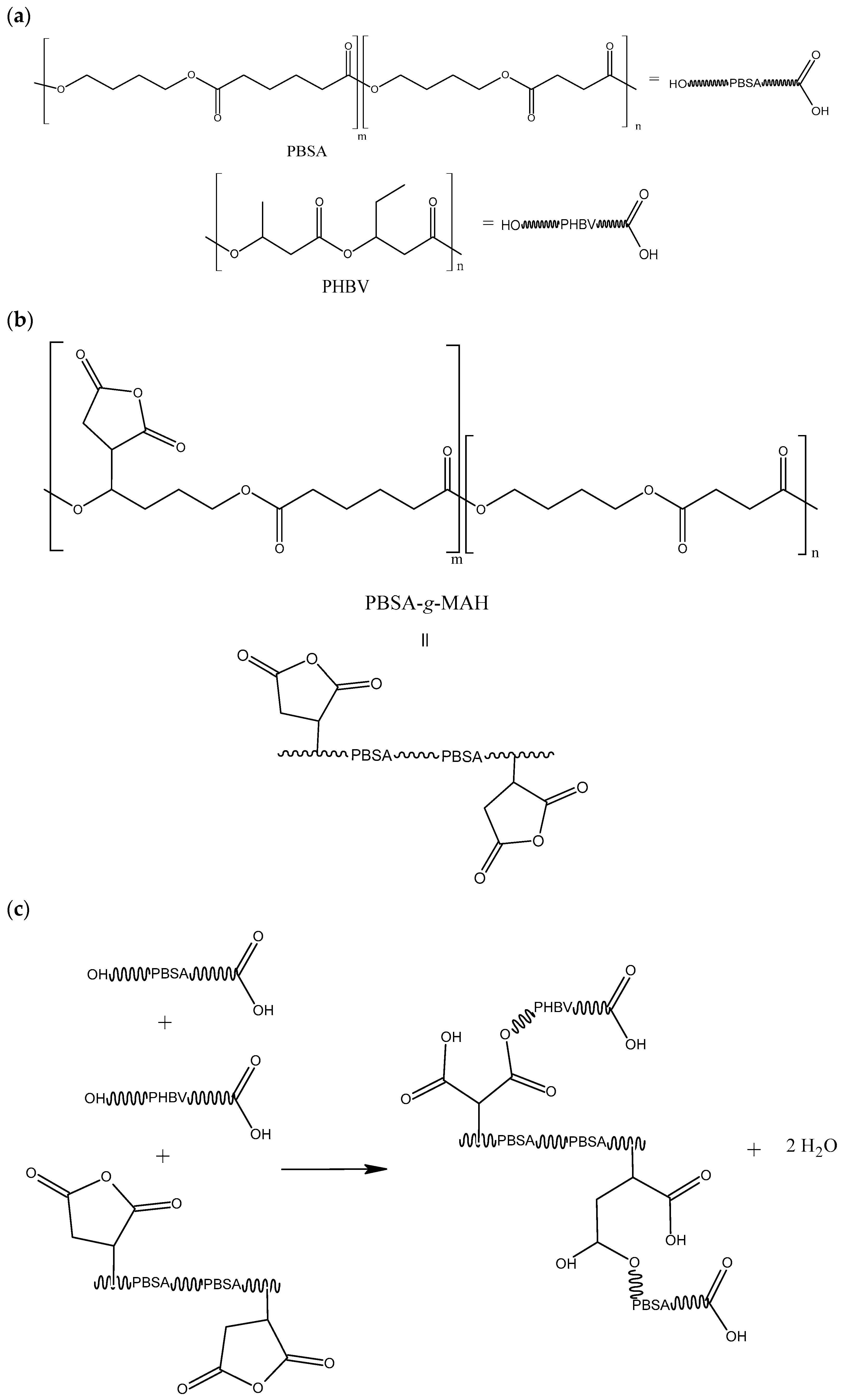 Polymers 16 02325 g010