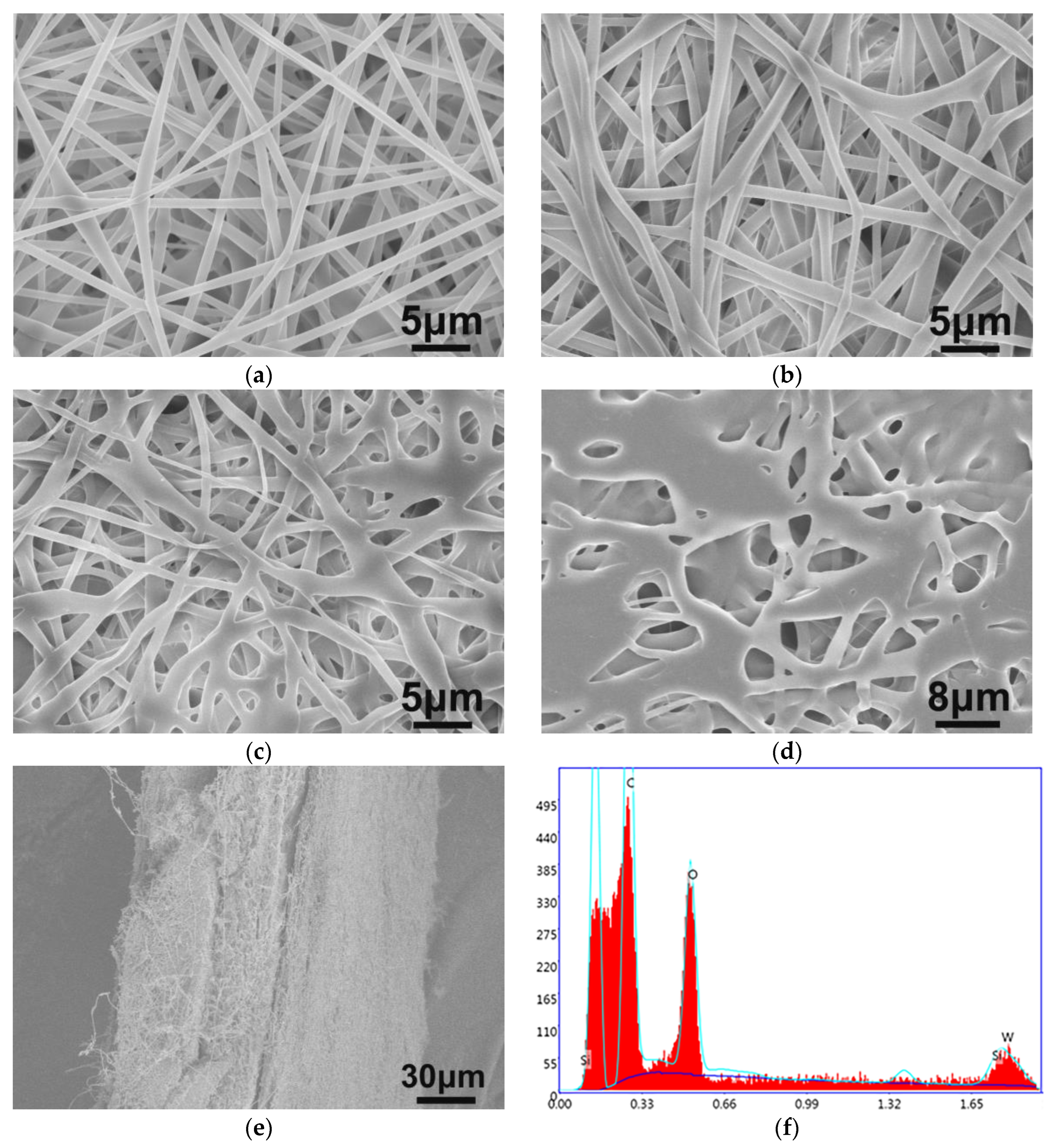 Polymers 16 02328 g002