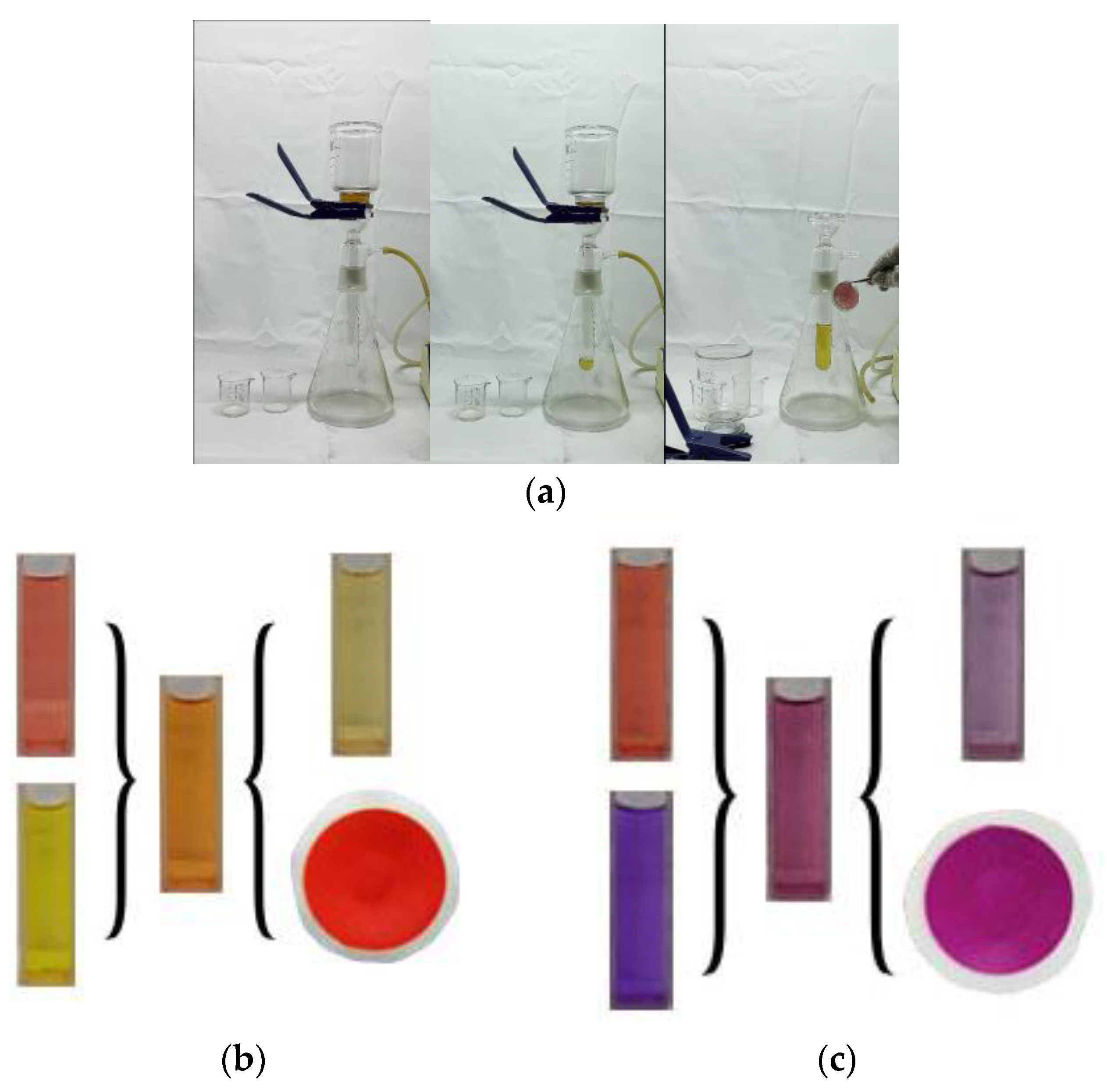 Polymers 16 02328 g007