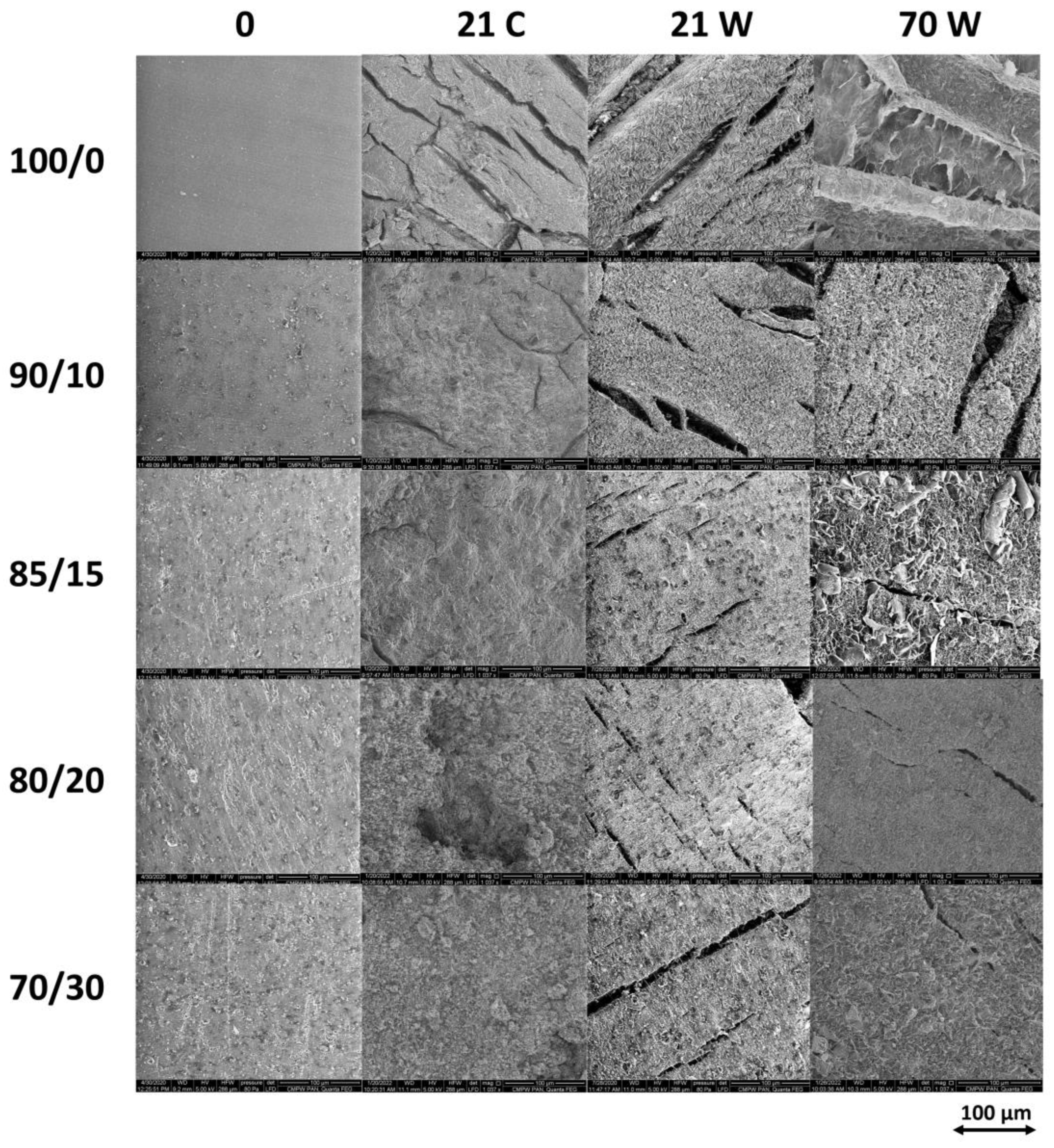 Polymers 16 02331 g007 Polymers 16 02331 g007