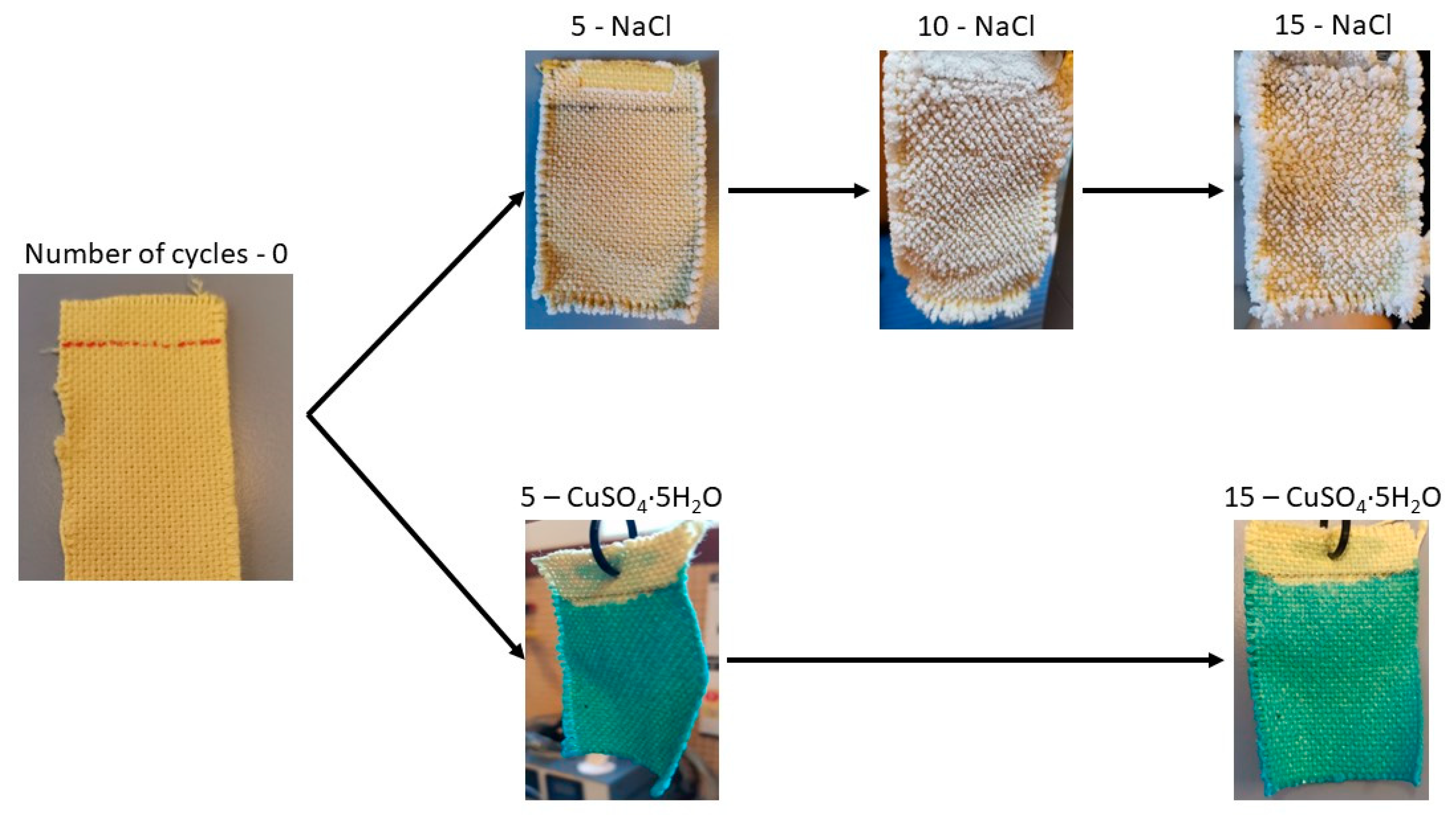 Polymers 16 02335 g011
