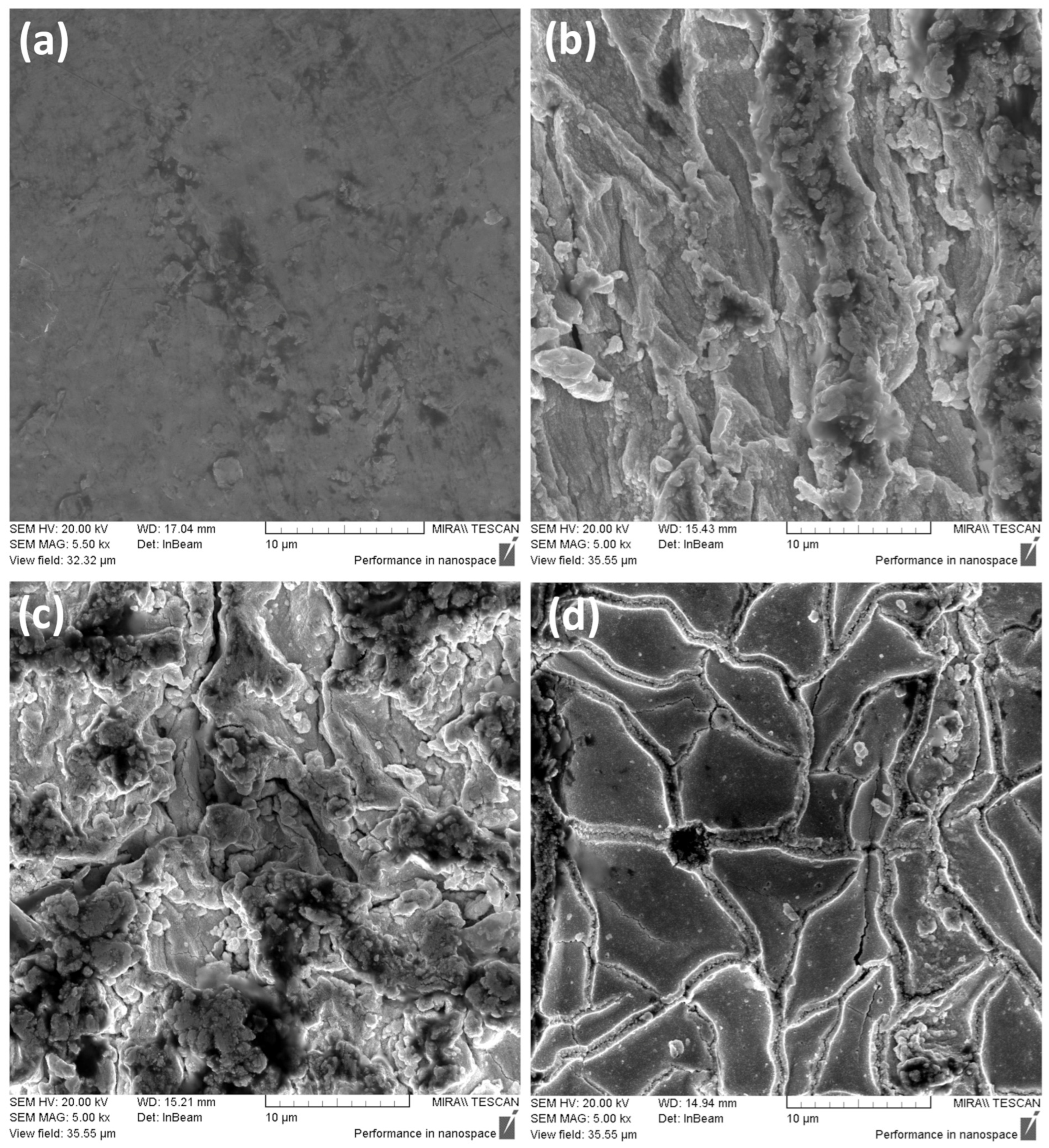 Polymers 16 02338 g013