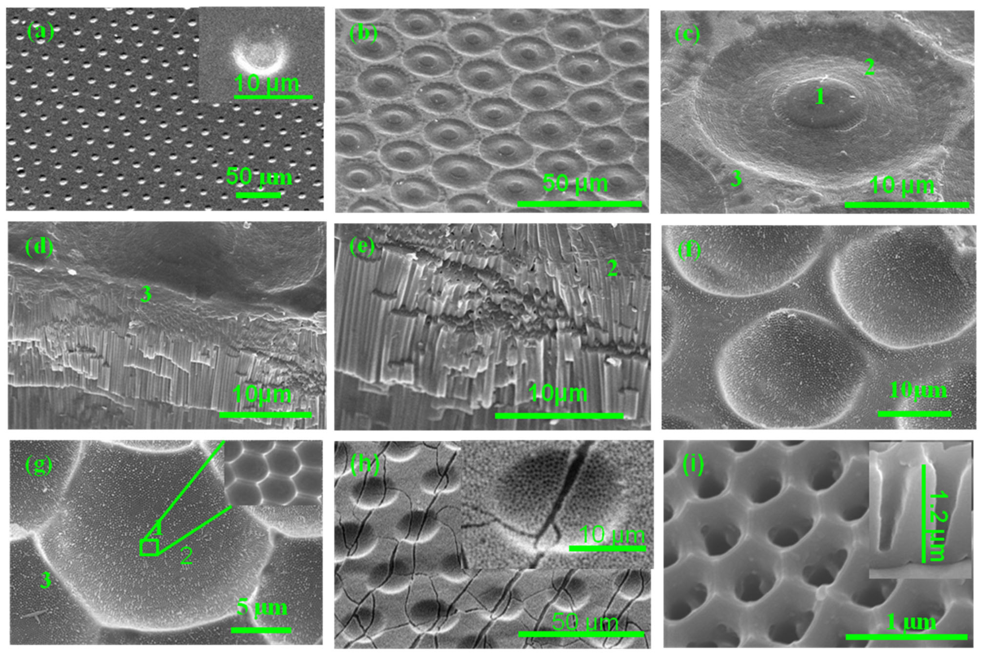 Polymers 16 02344 g005