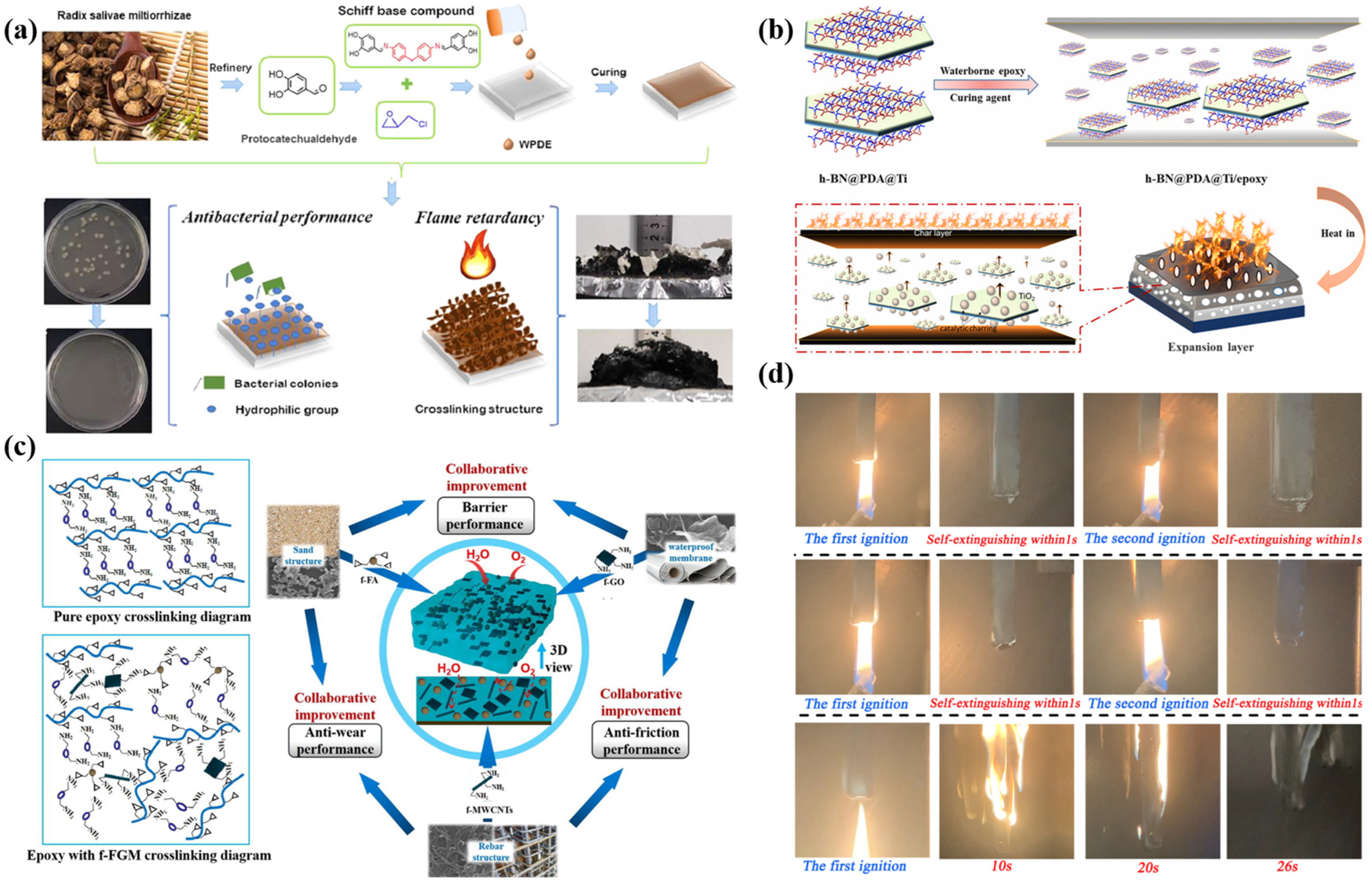 Polymers 16 02353 g005