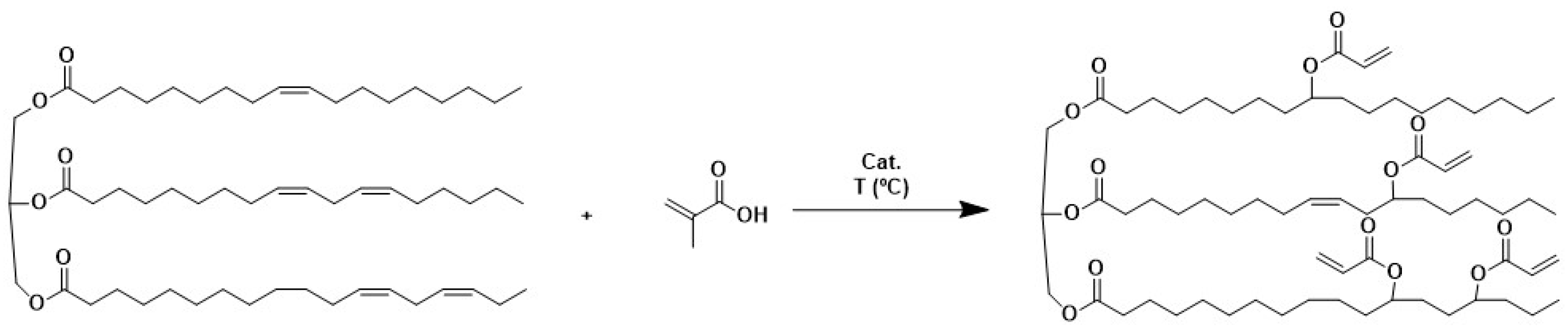 Polymers 16 02355 g001