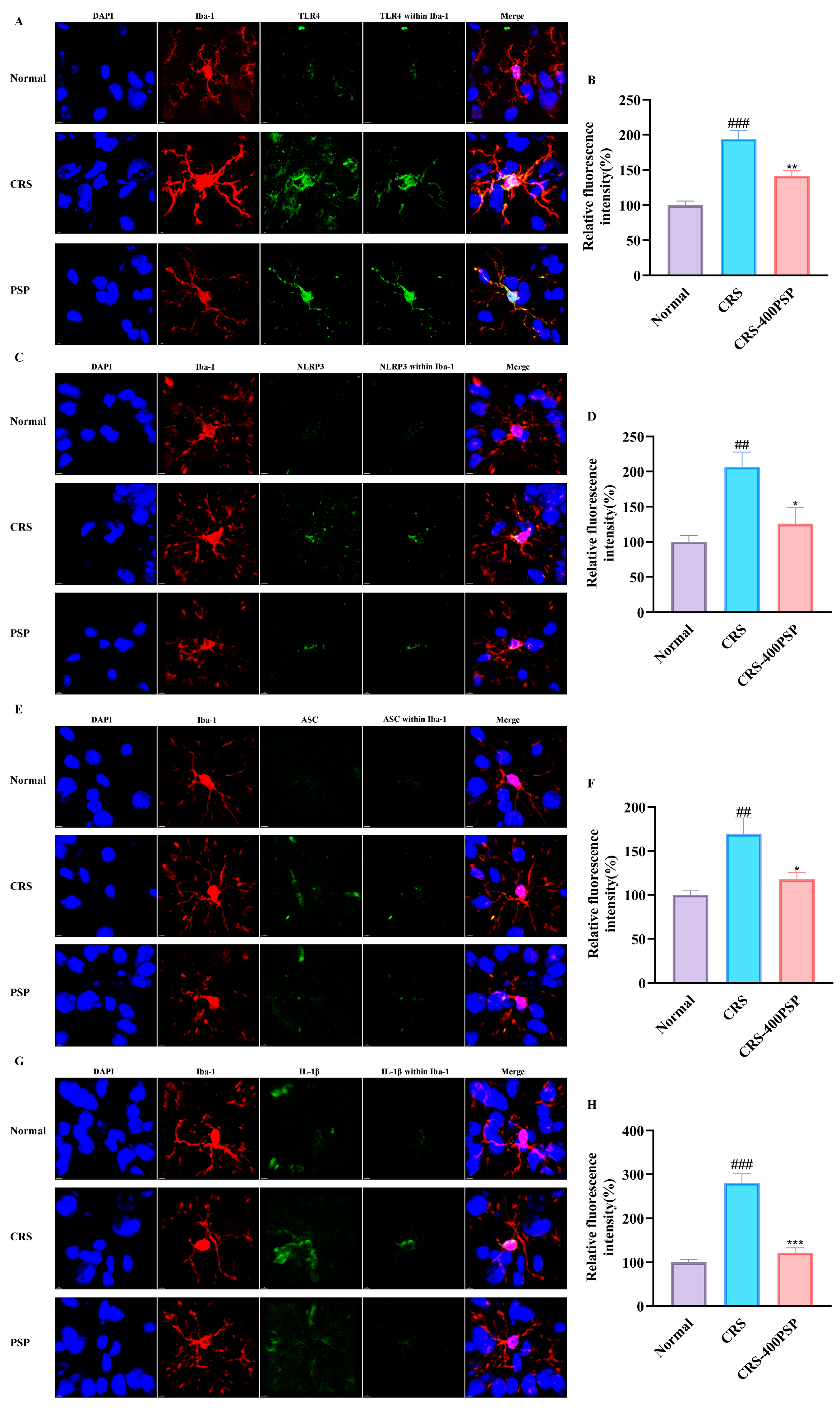 Polymers 16 02358 g006