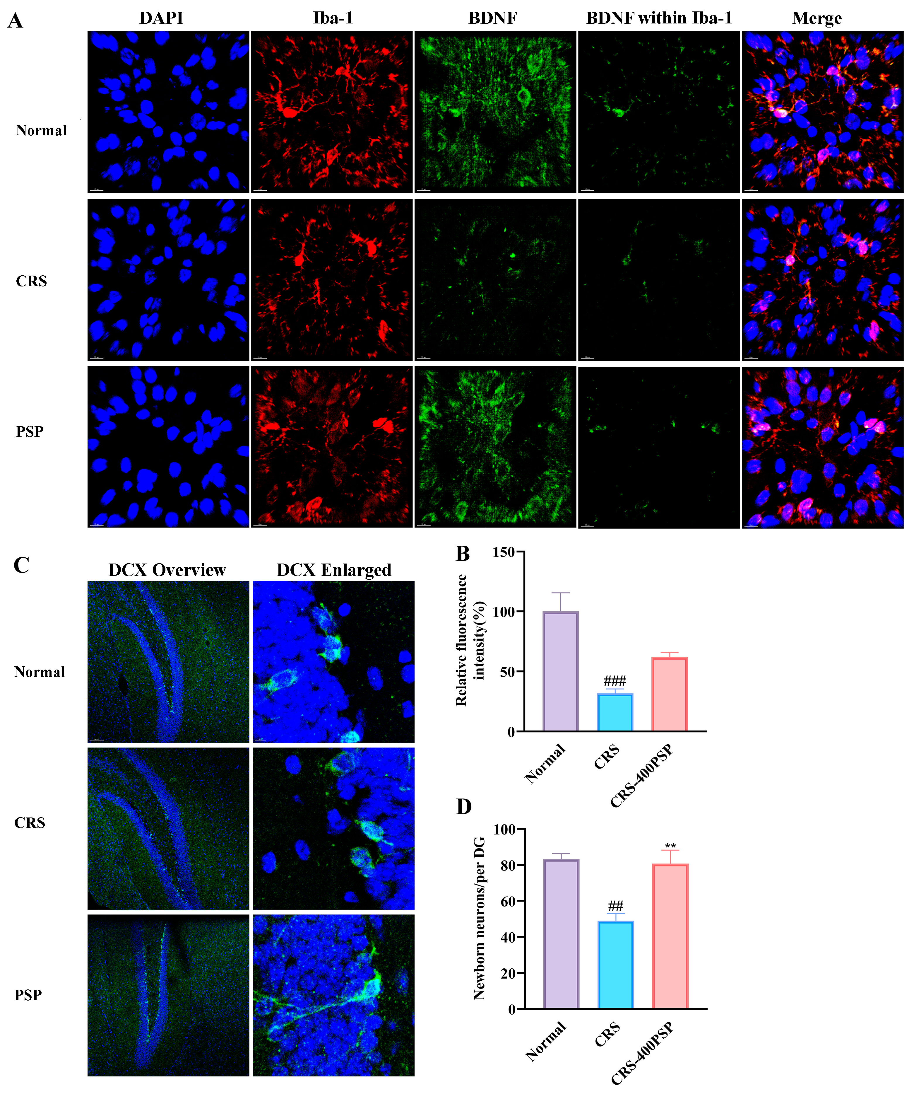 Polymers 16 02358 g007