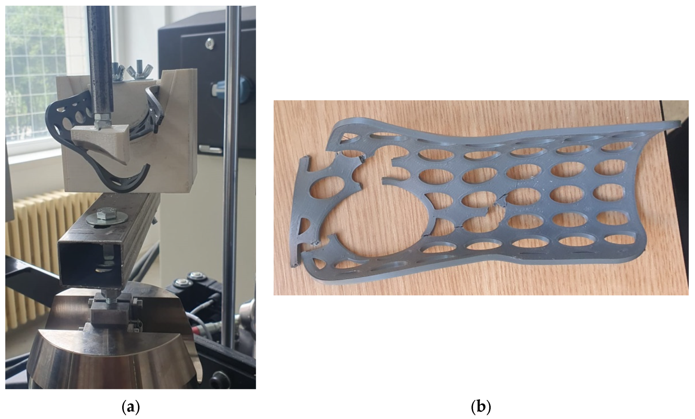 Polymers 16 02359 g010
