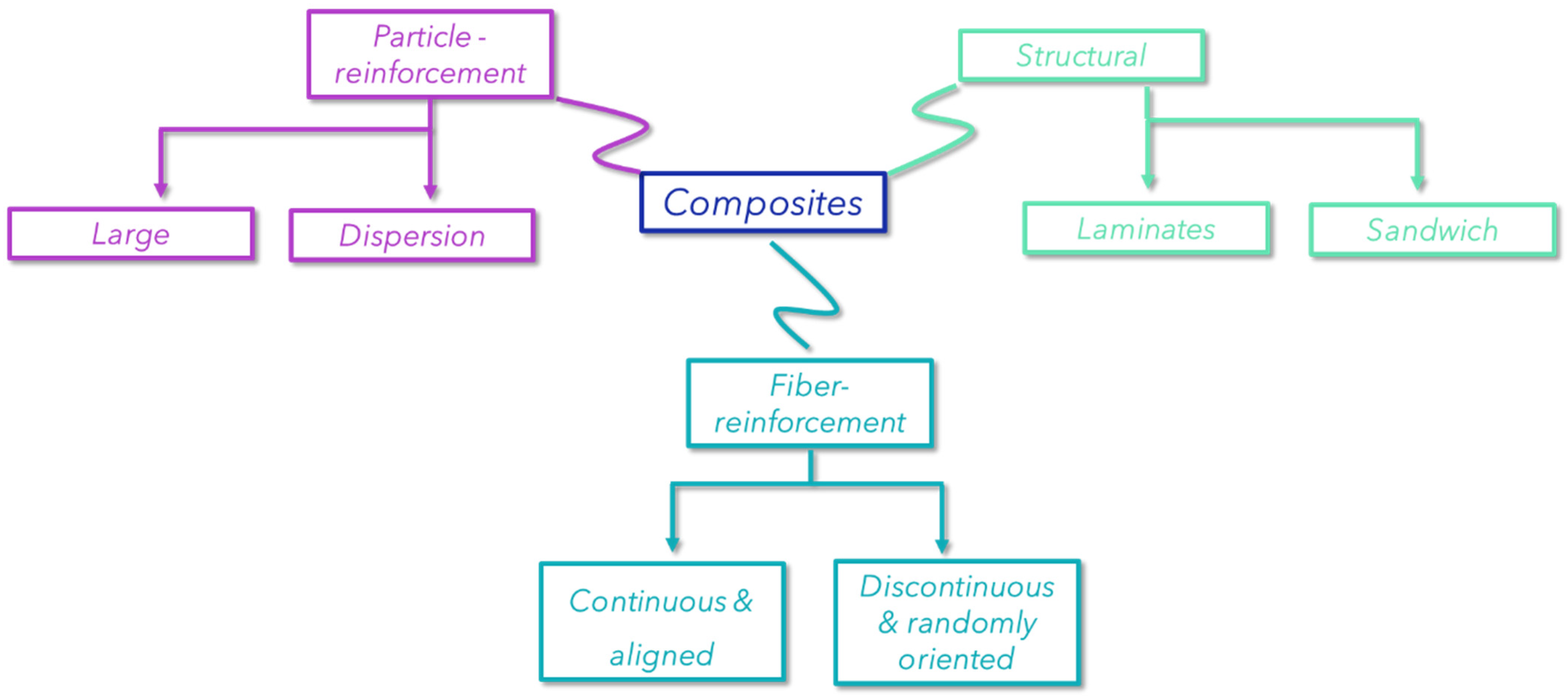 Polymers 16 02360 g001