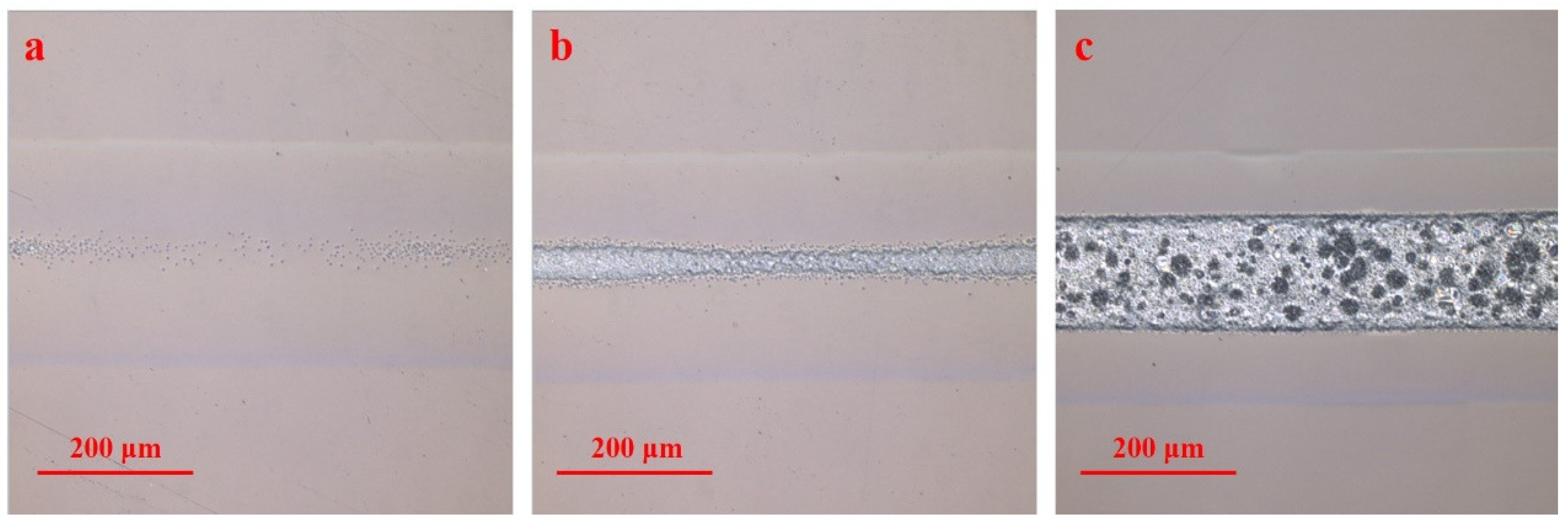 Polymers 16 02361 g003