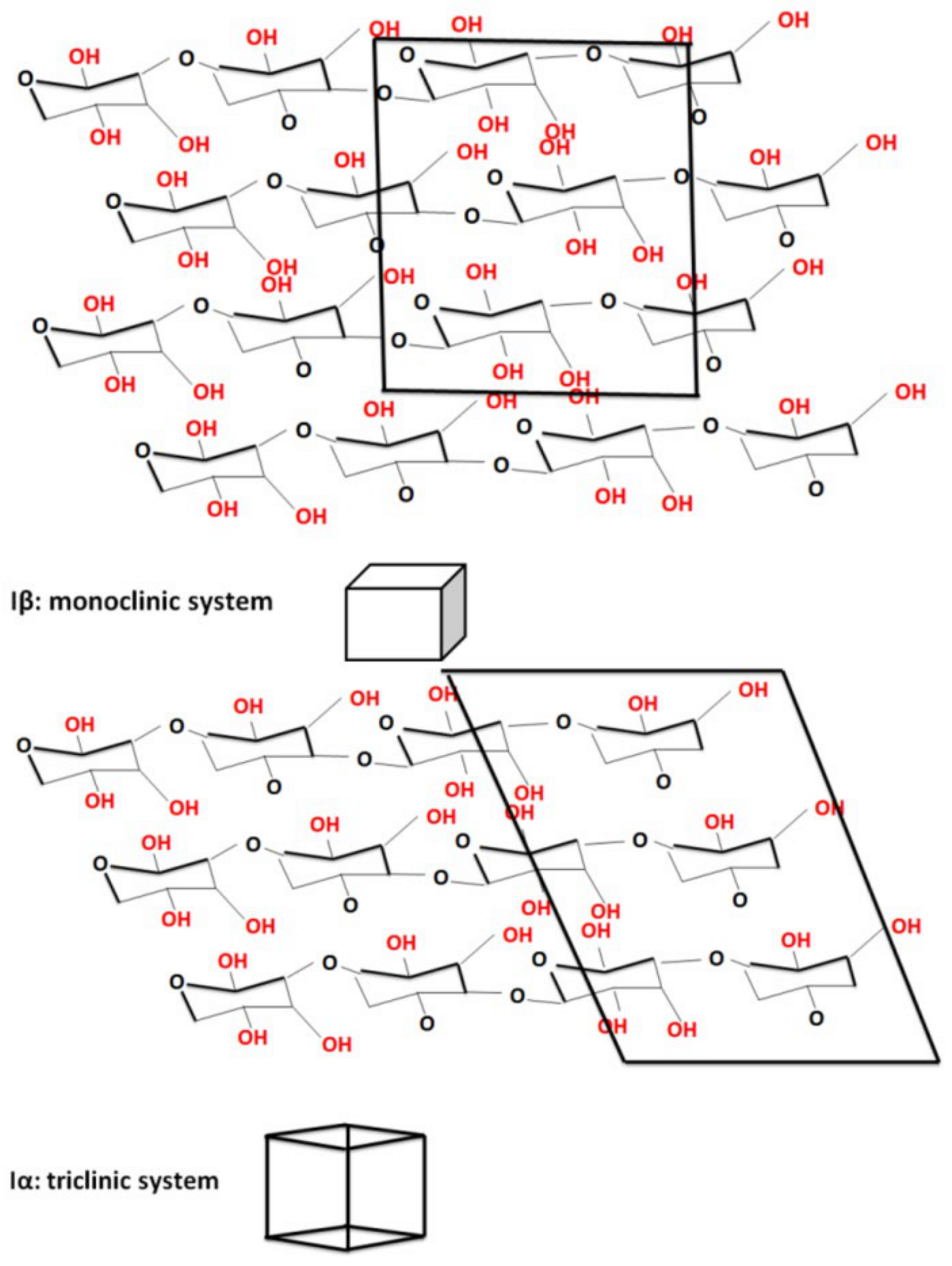 Polymers 16 02363 g006