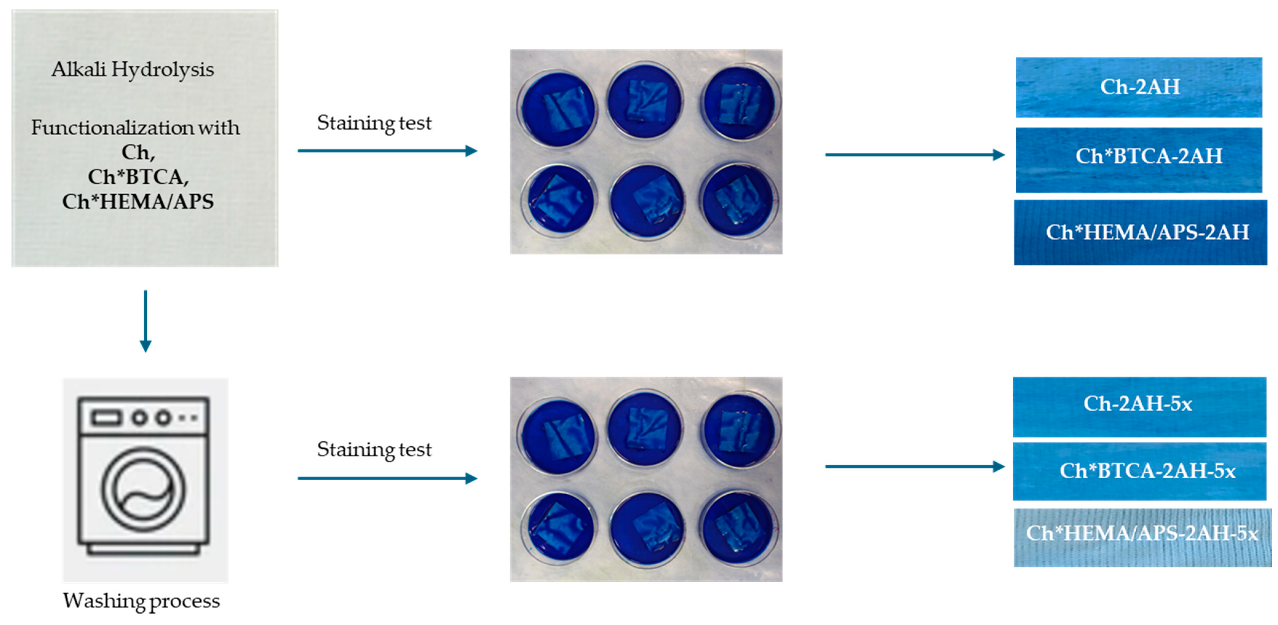Polymers 16 02365 sch001