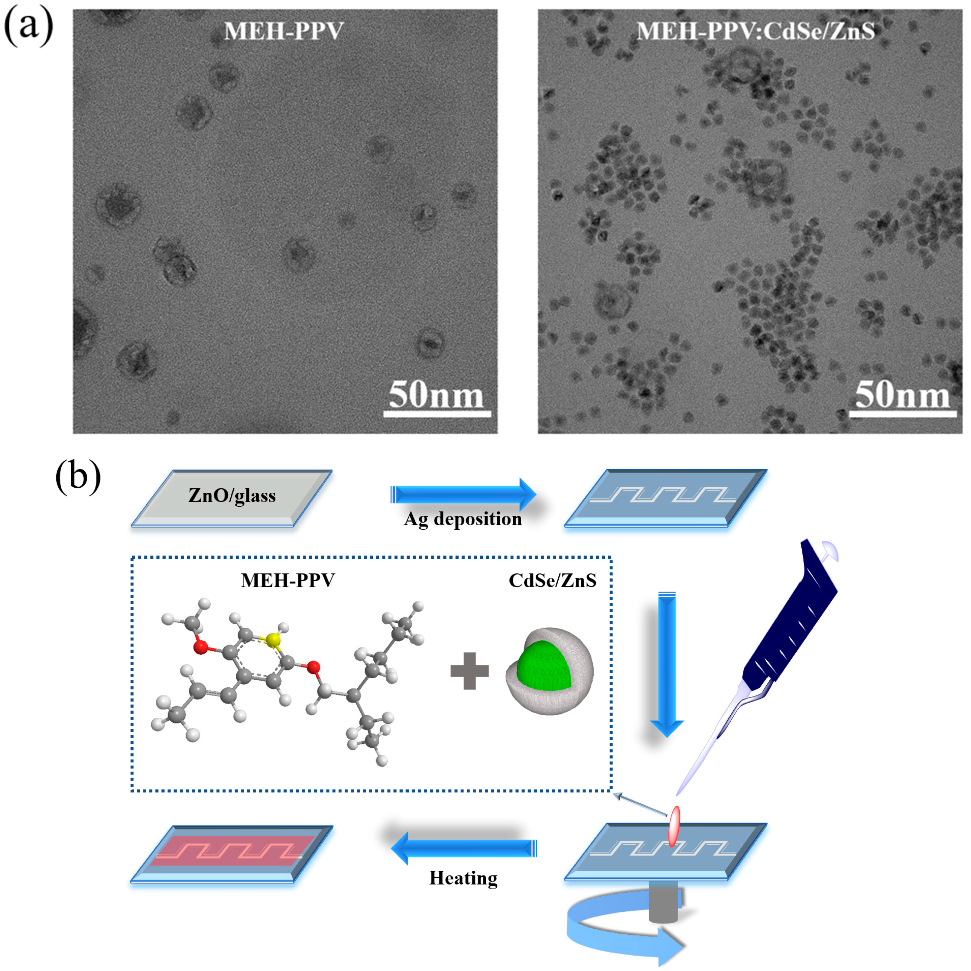 Polymers 16 02371 g001