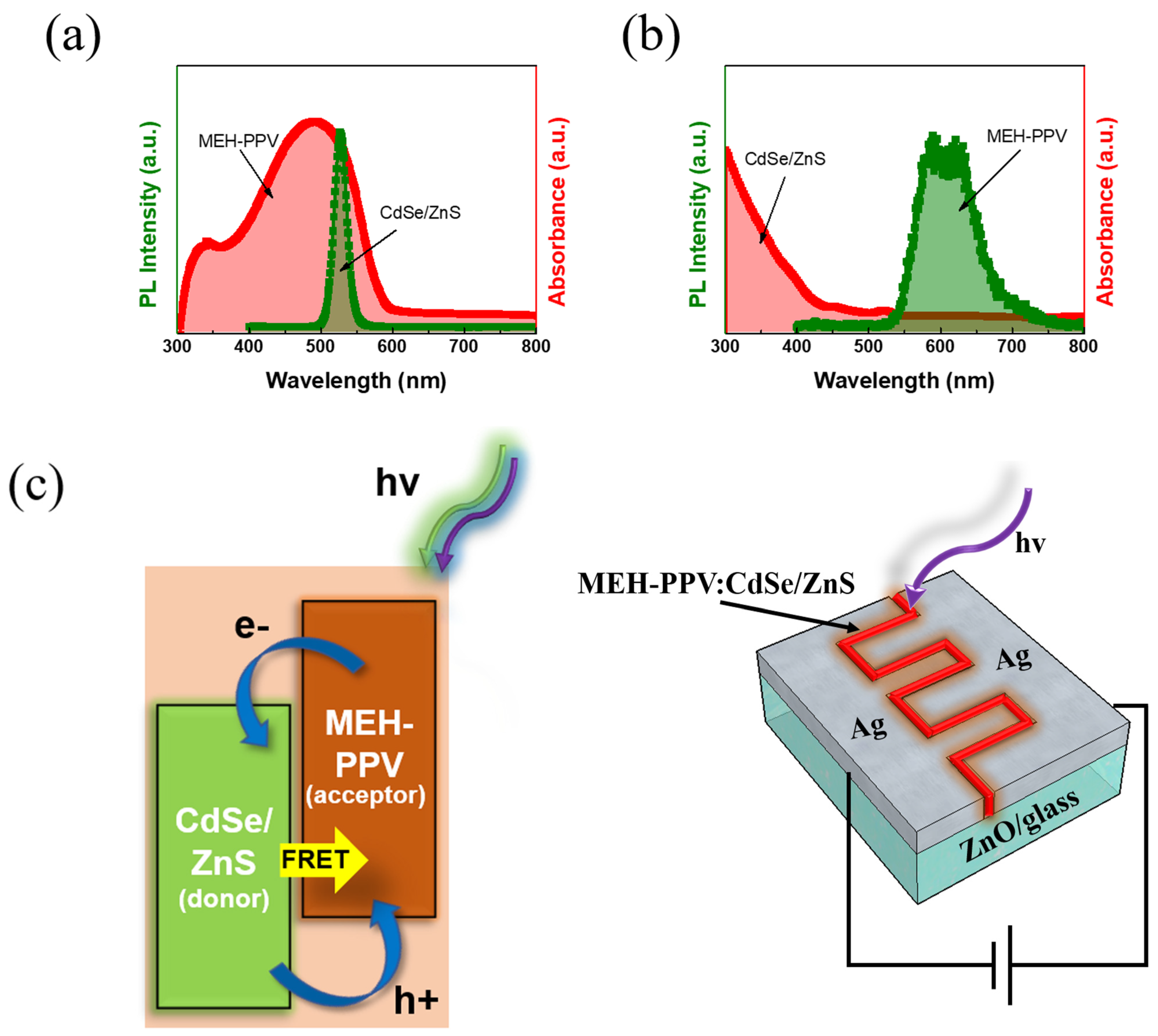 Polymers 16 02371 g003