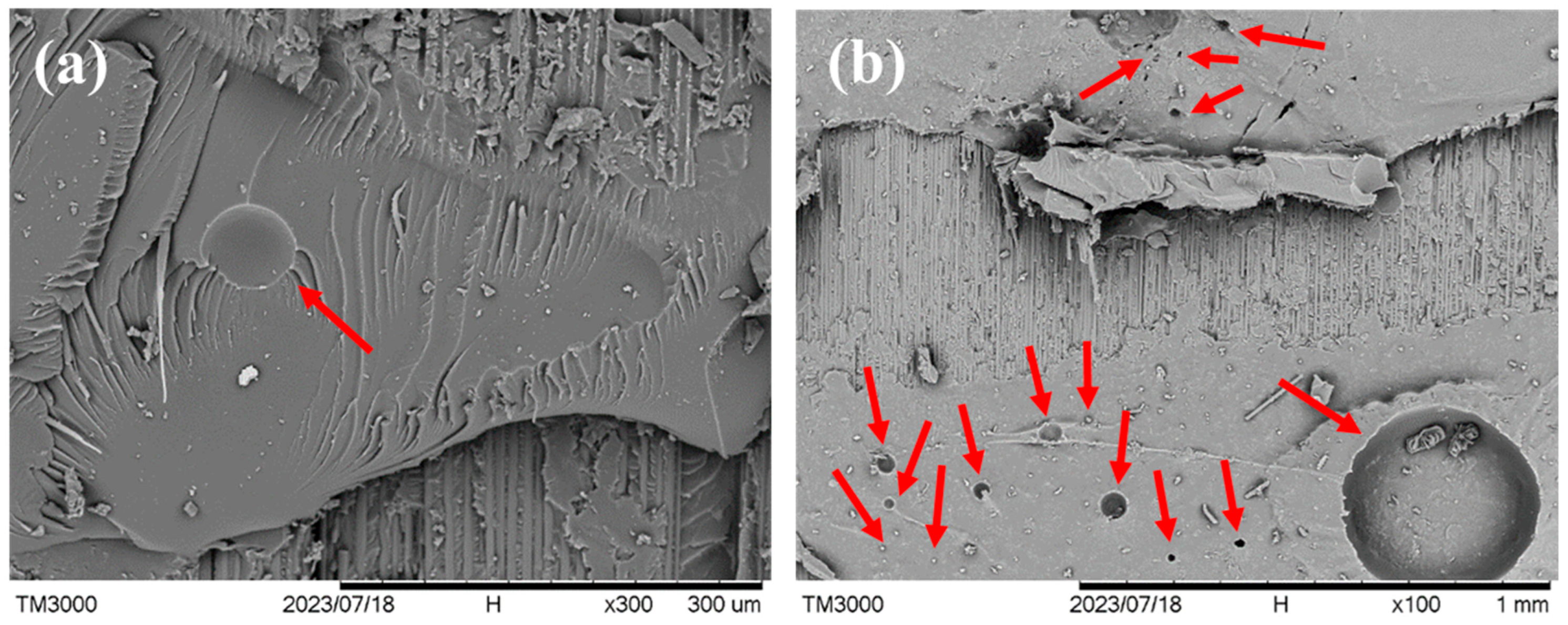 Polymers 16 02374 g005