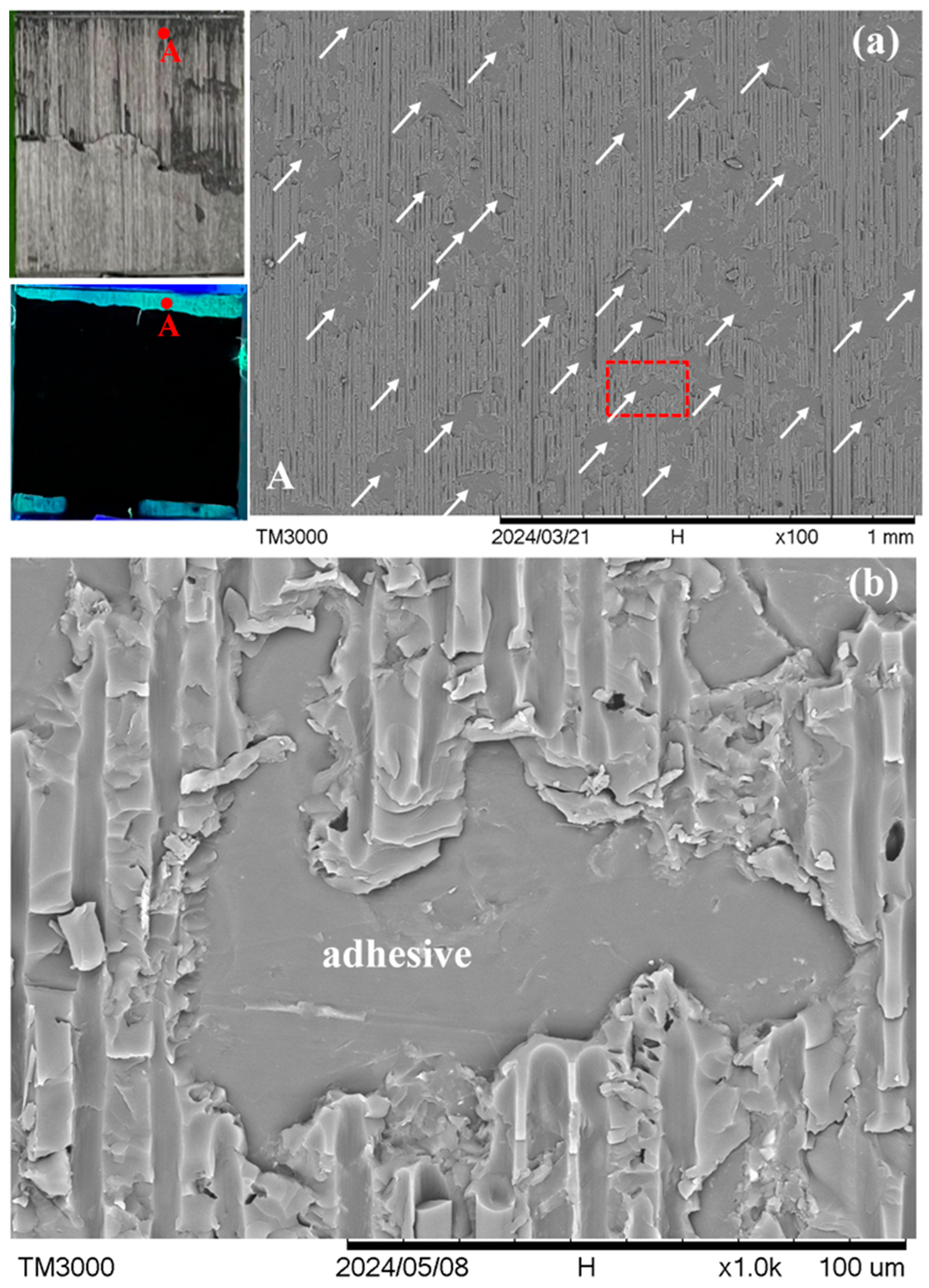 Polymers 16 02374 g007