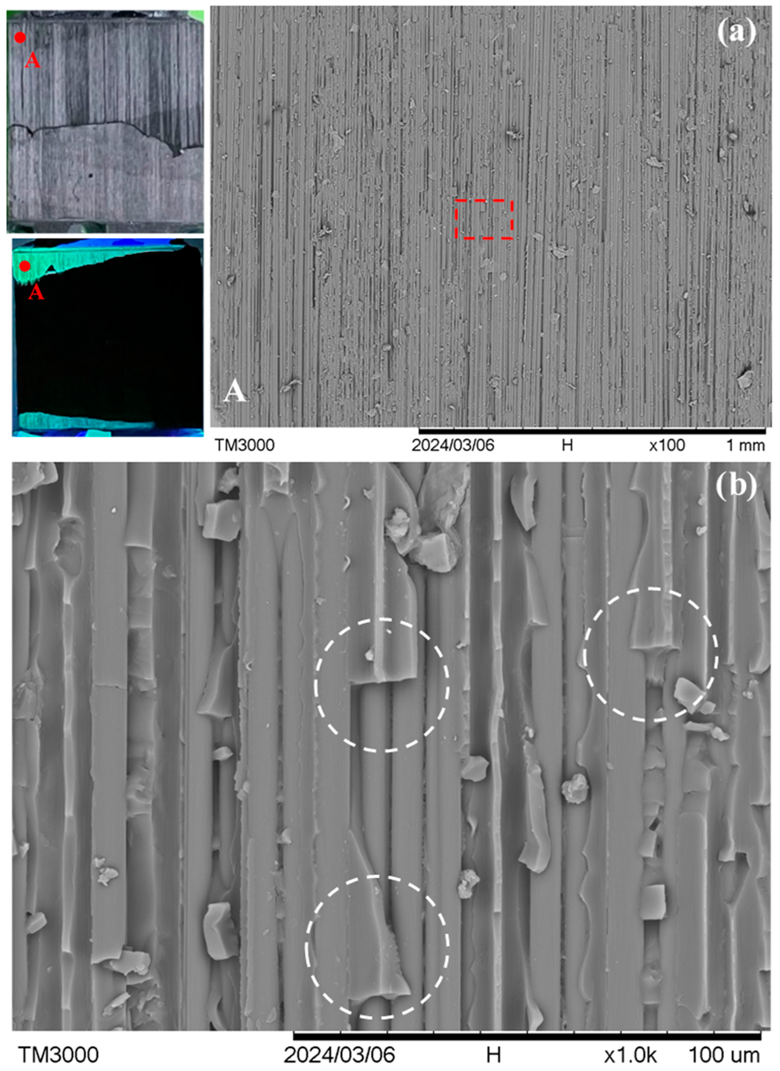 Polymers 16 02374 g008