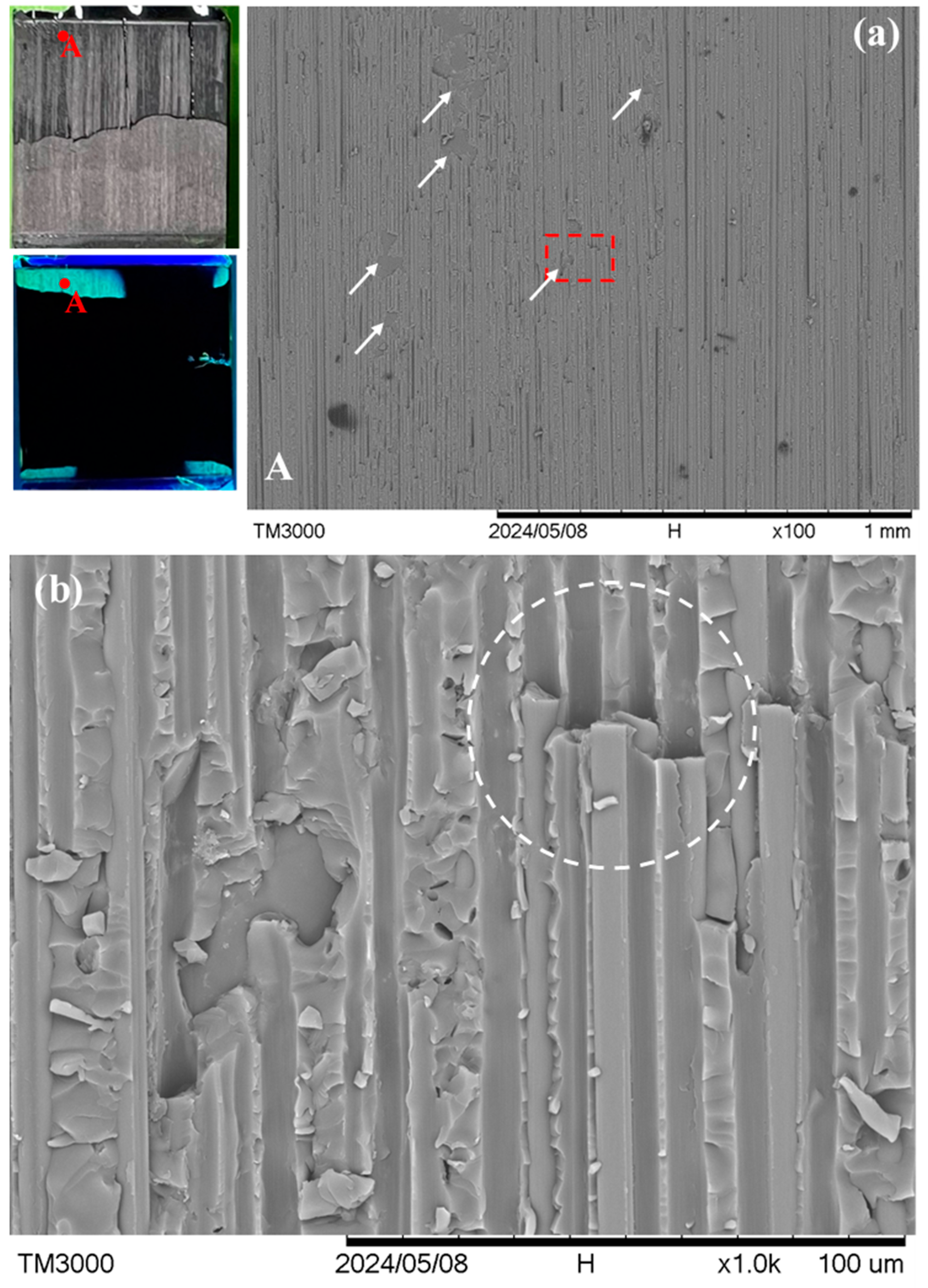 Polymers 16 02374 g009