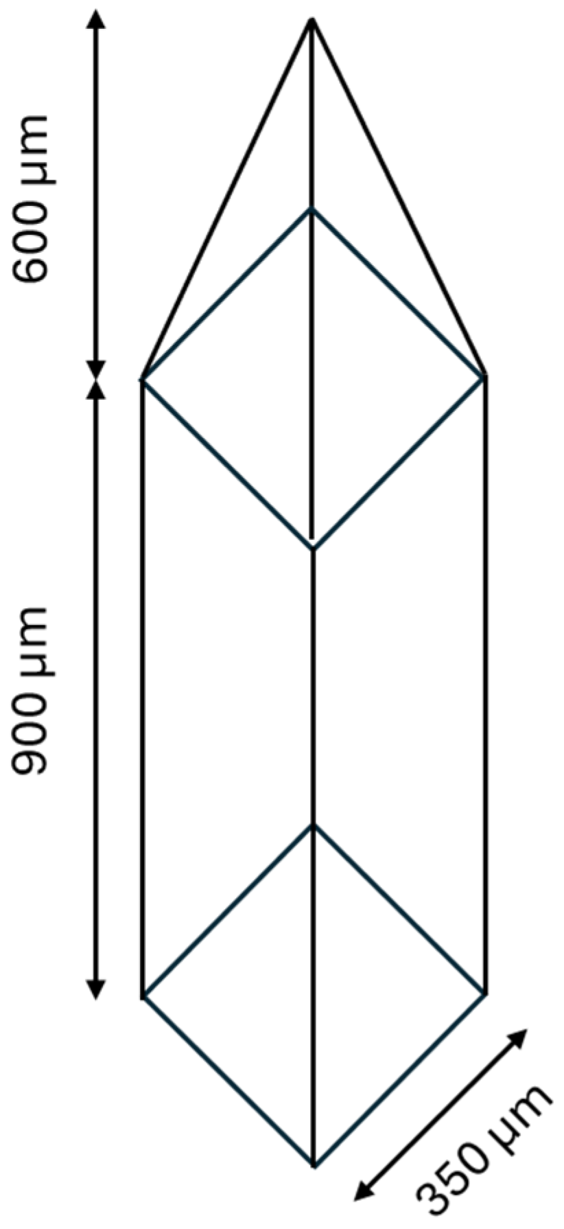 Polymers 16 02377 g001