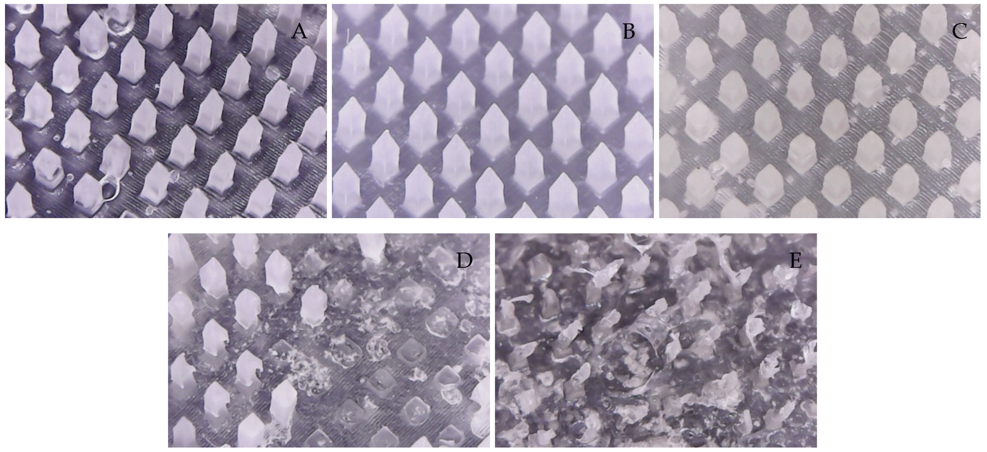 Polymers 16 02377 g003