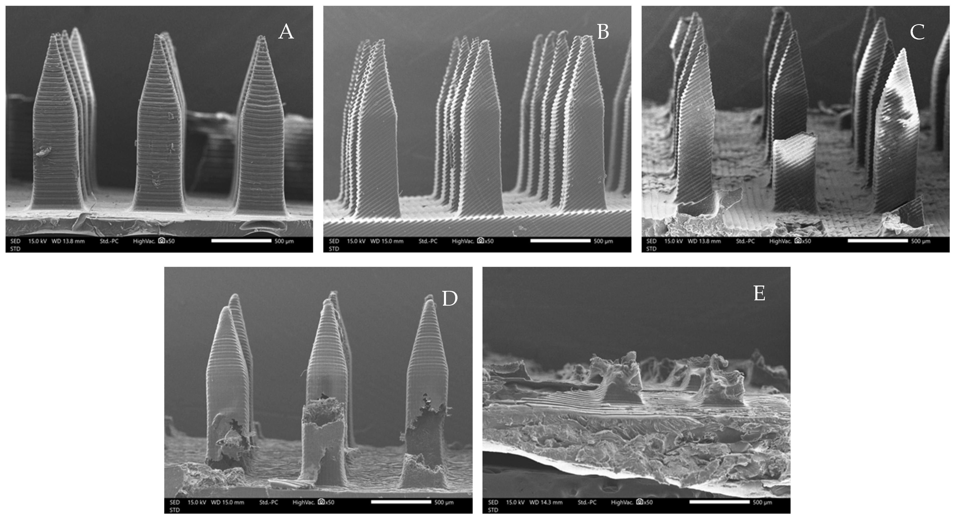 Polymers 16 02377 g004