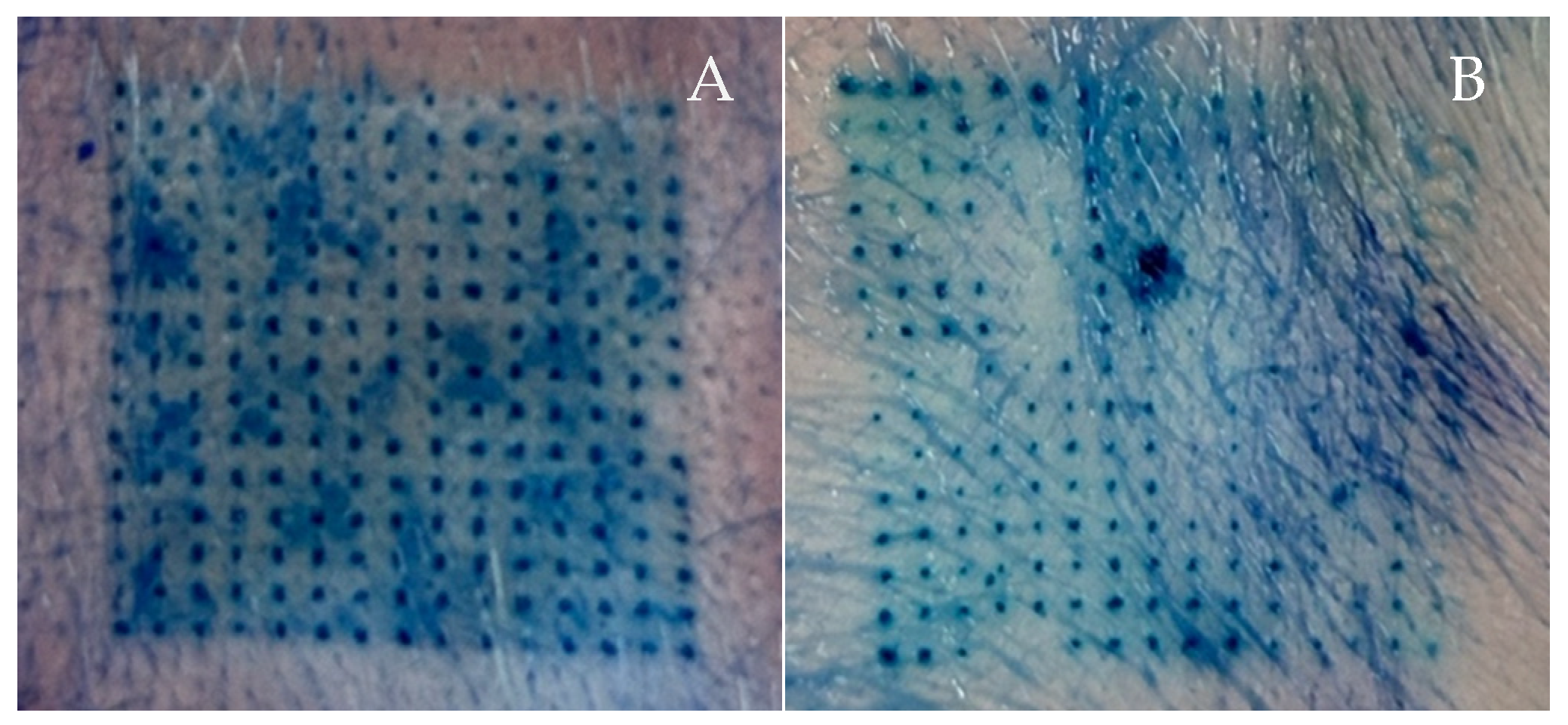 Polymers 16 02377 g007