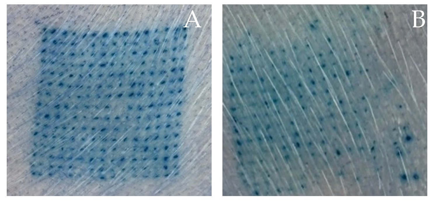 Polymers 16 02377 g009