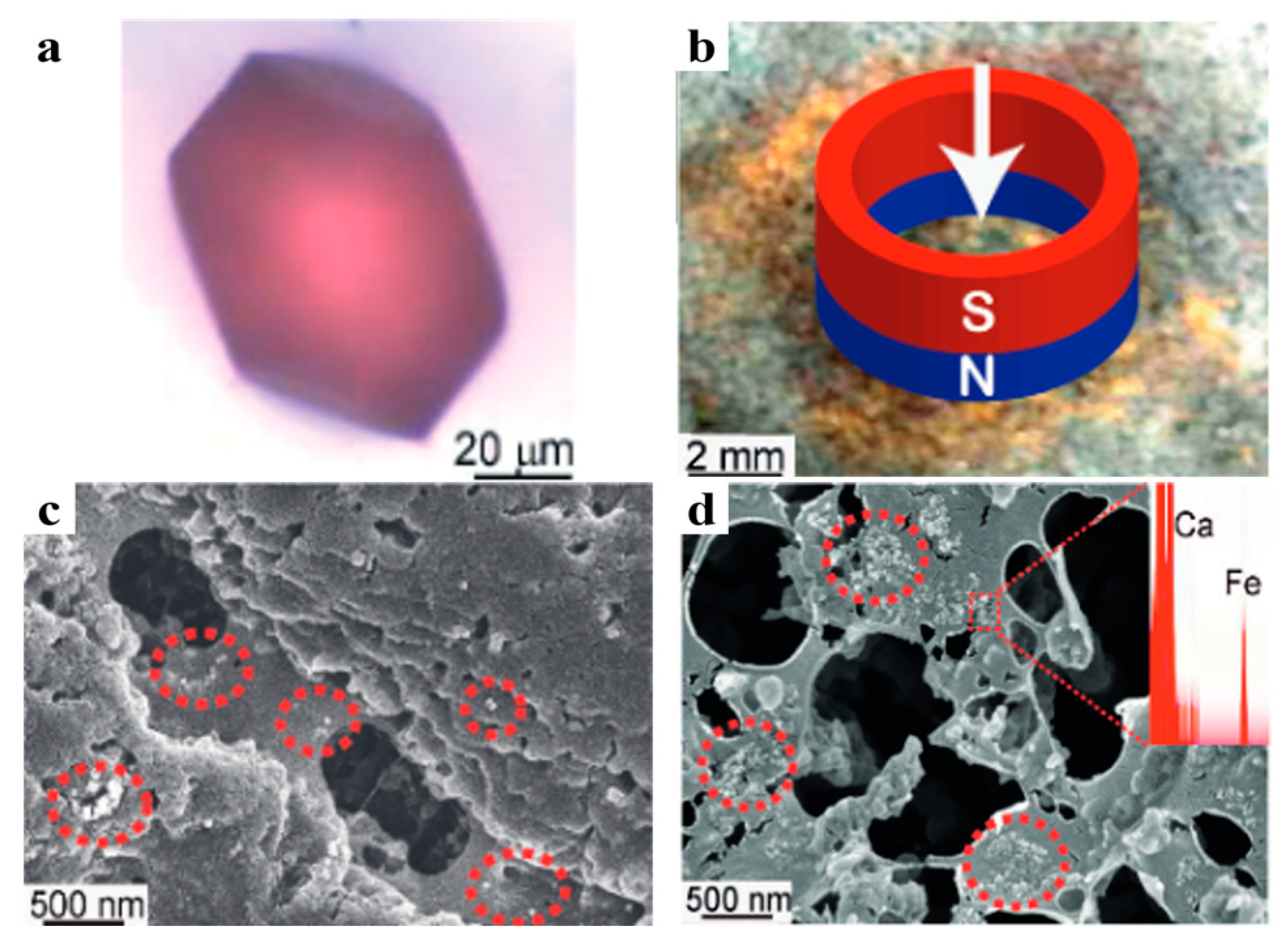 Polymers 16 02379 g003