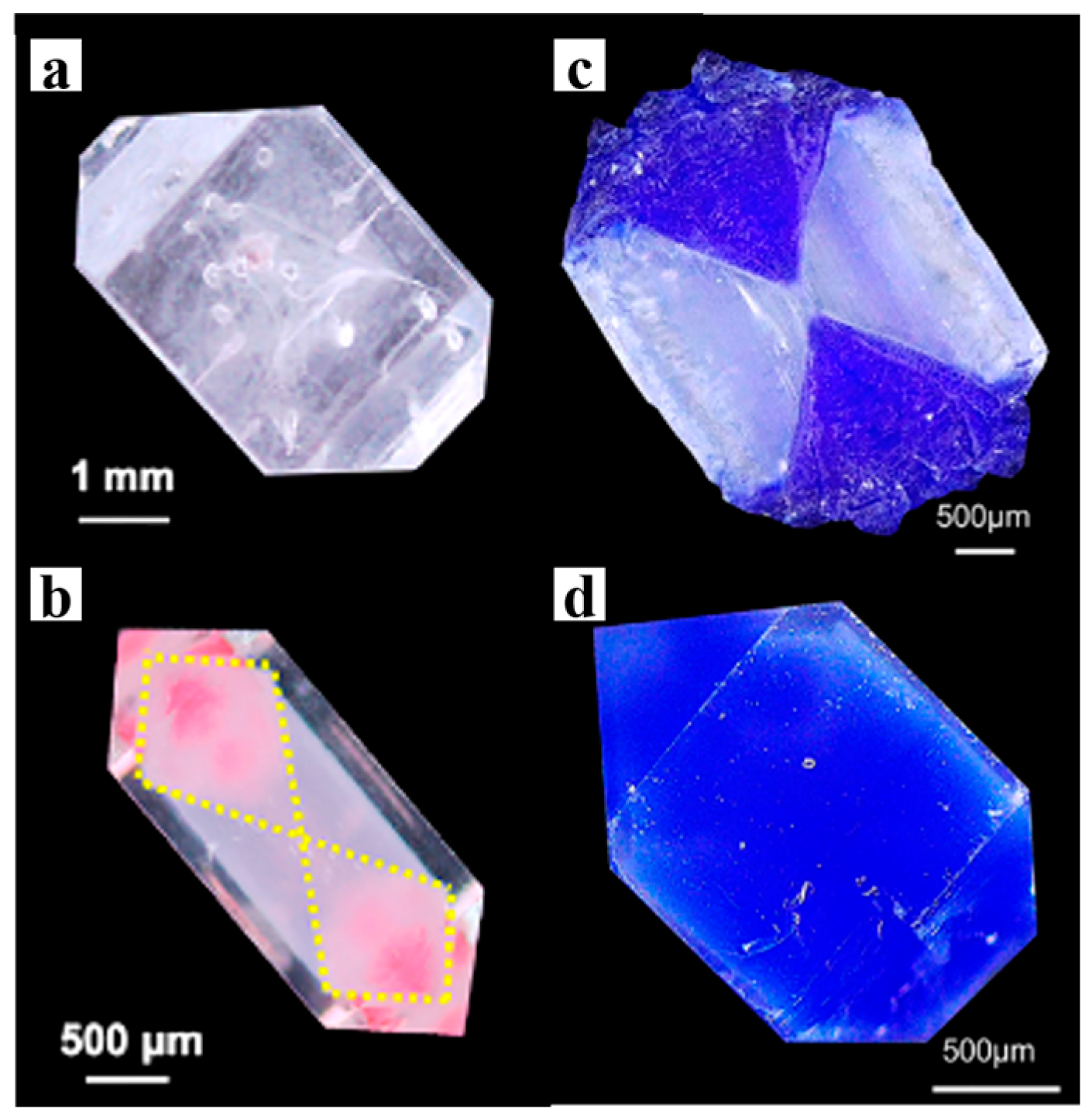Polymers 16 02379 g004