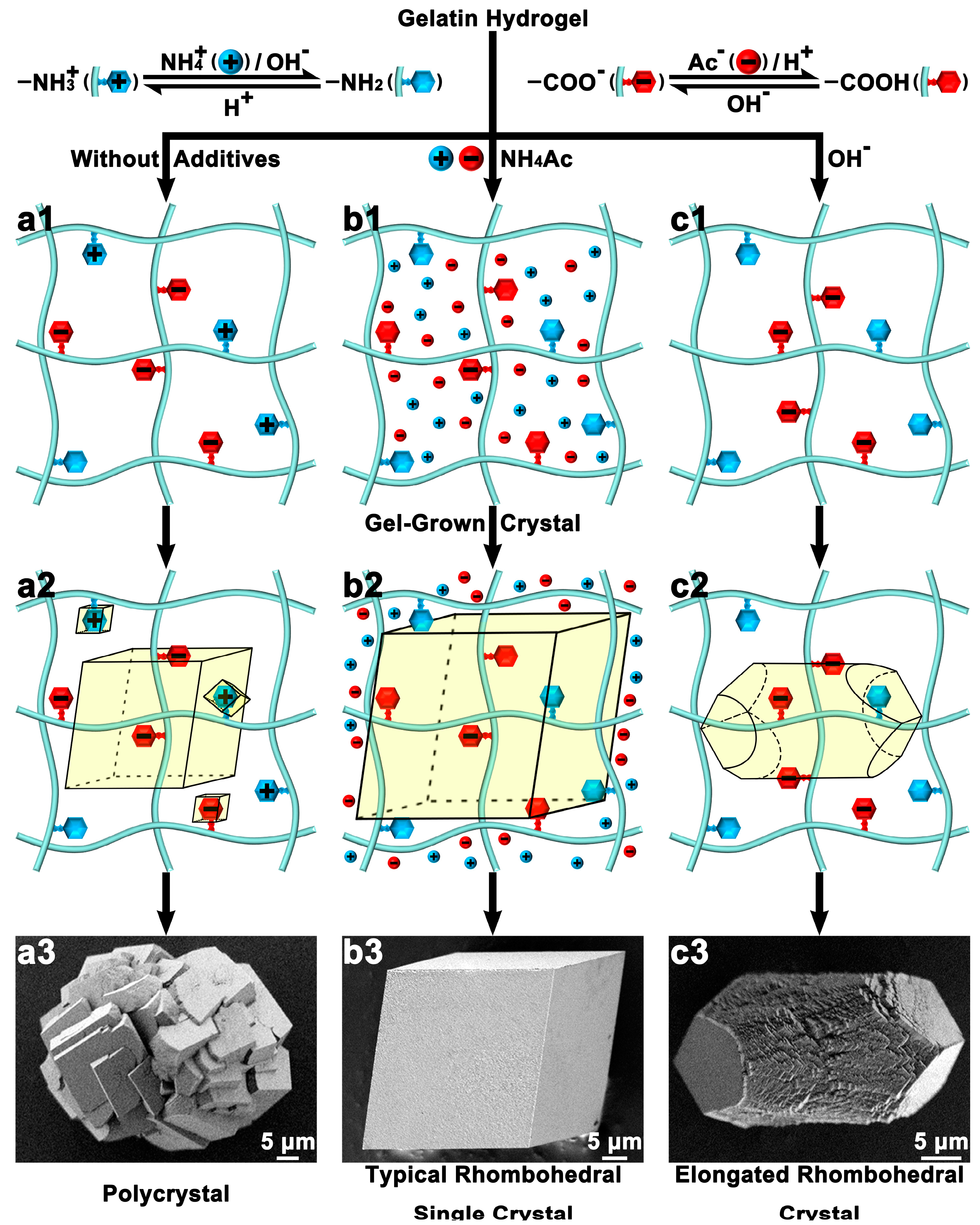Polymers 16 02379 g005